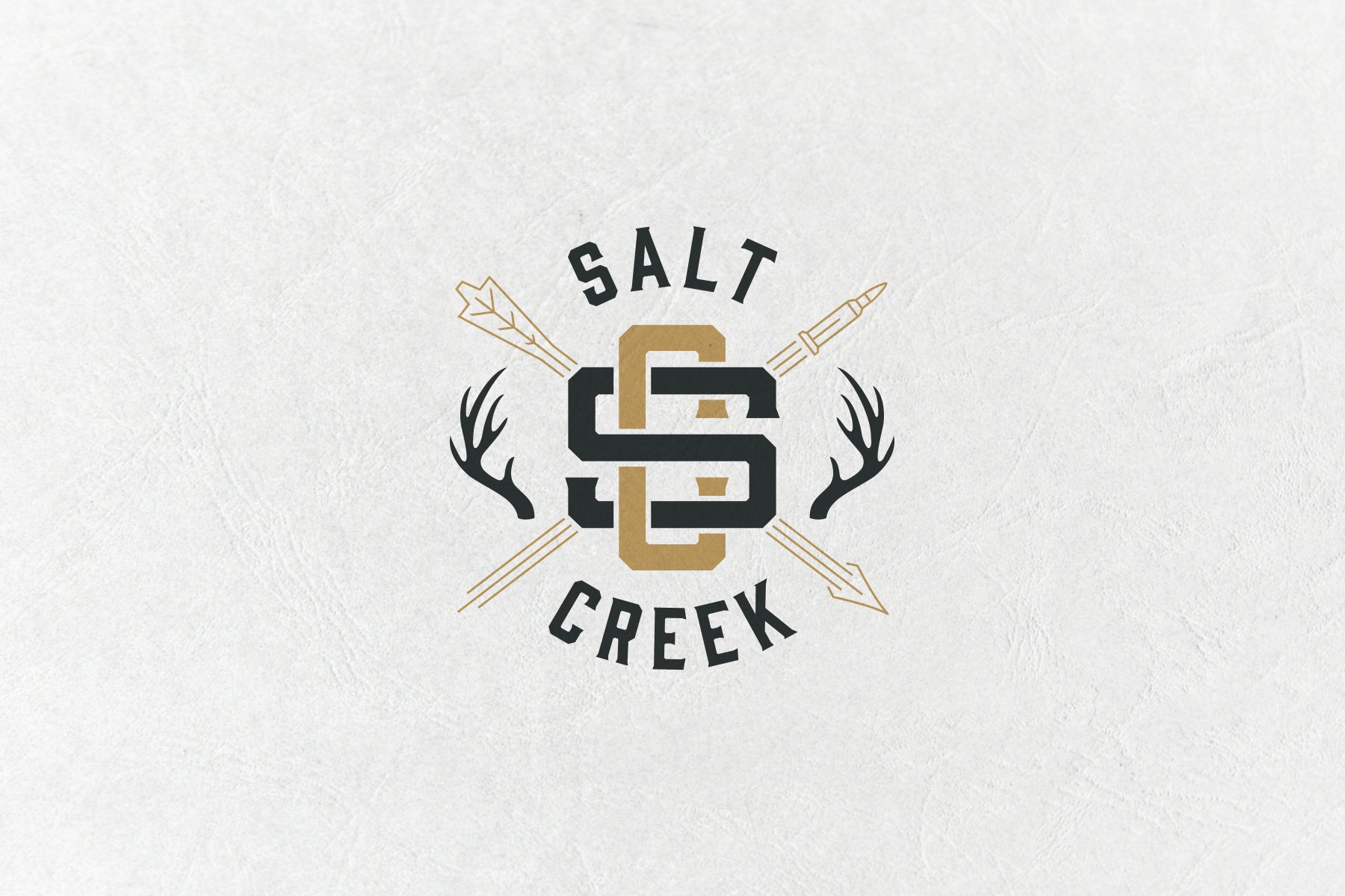 Salt Creek Logo Design