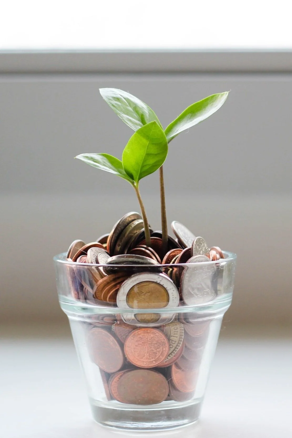 Glass pot of coins with plant growing out of it.