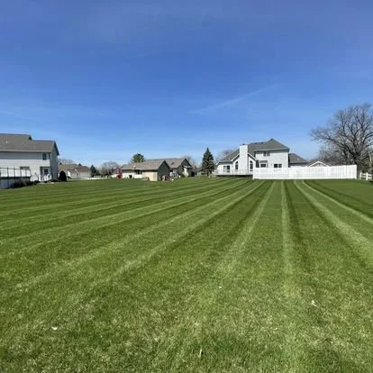 Freshly mowed green lawn in a suburban neighborhood with houses and clear blue sky.