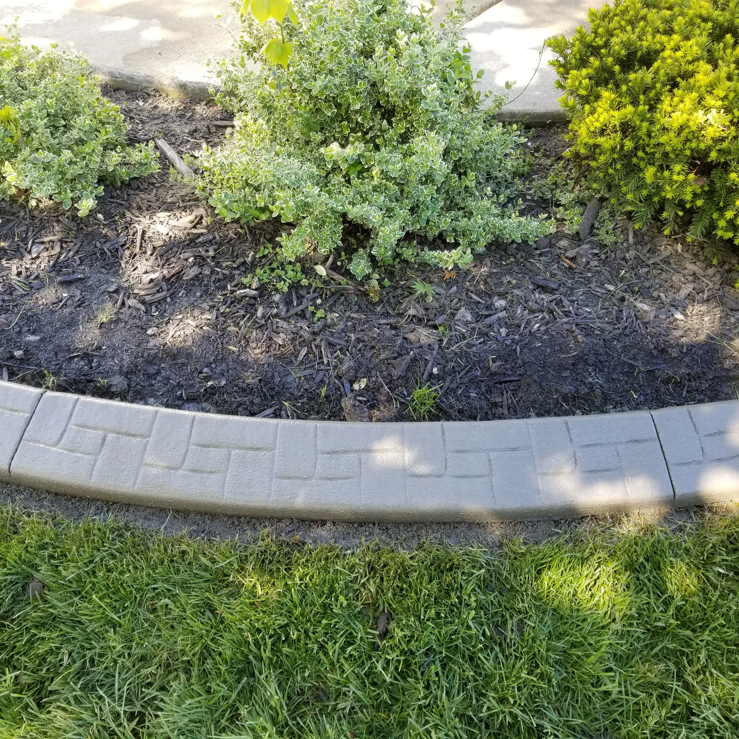 20190521_100544.jpg
