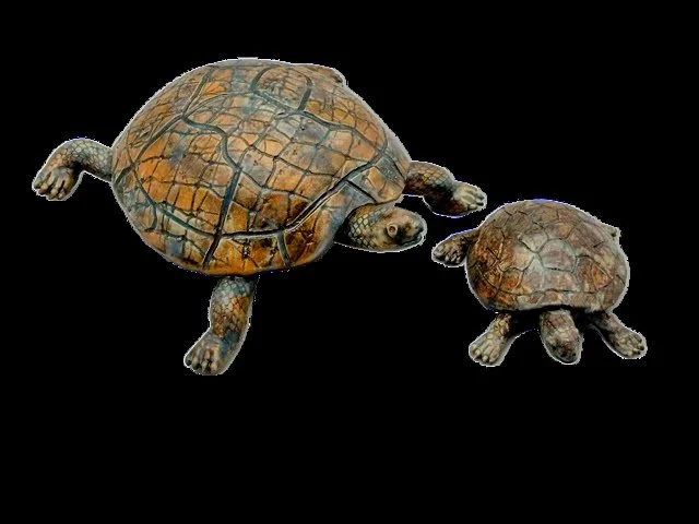 GA 8_2025 Jeff Tollefson_ Turtles.jpg