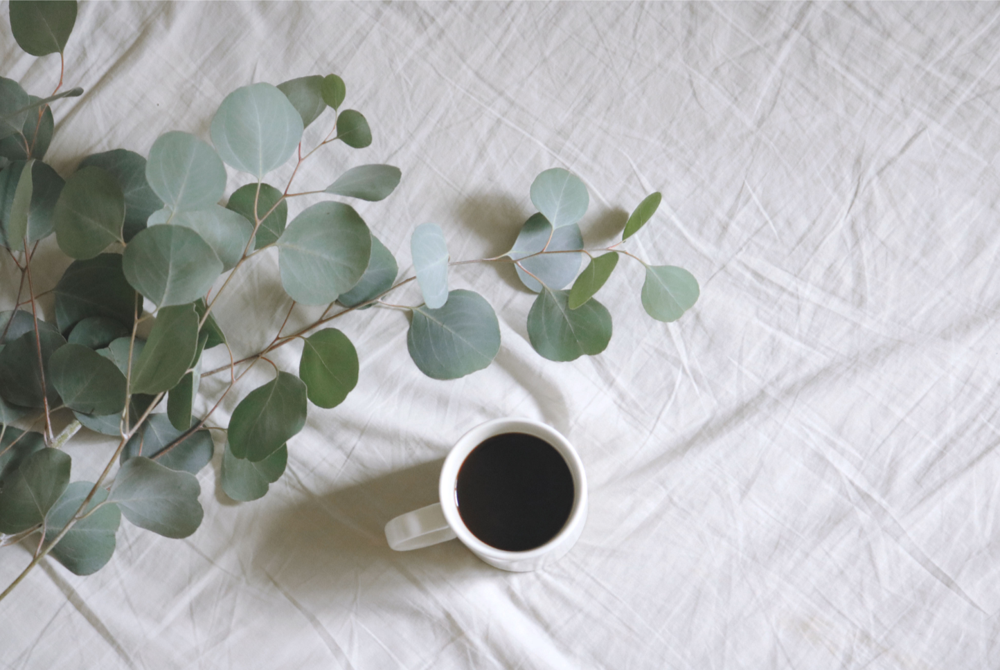 A white mug filled with black coffee, placed on a white fabric surface, with a sprig of eucalyptus leaves nearby.