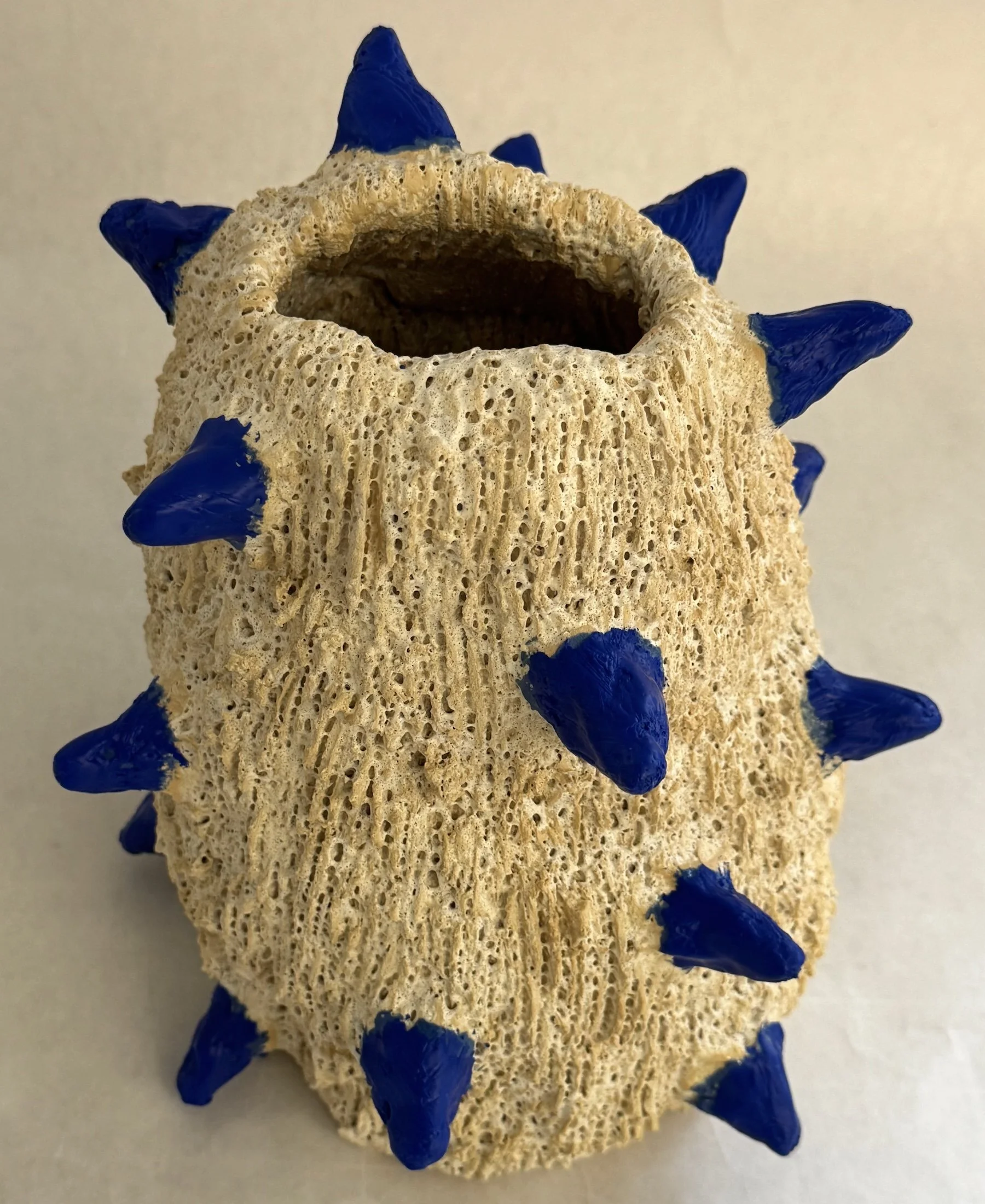 2025 - CecileChong-PricklyCOral-9x6x6in copy.jpeg