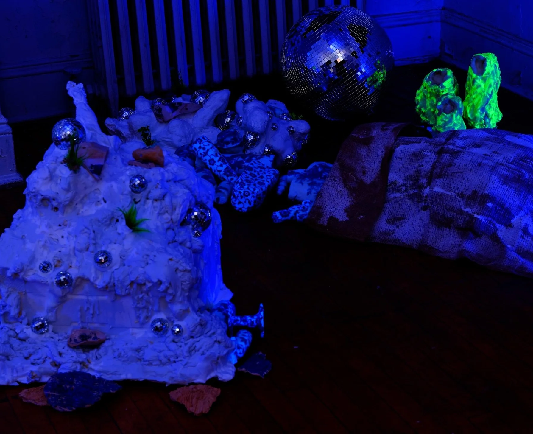 2025_10_21_Argenis_Apolinario_KODA_Cecile_16689 copy.jpg