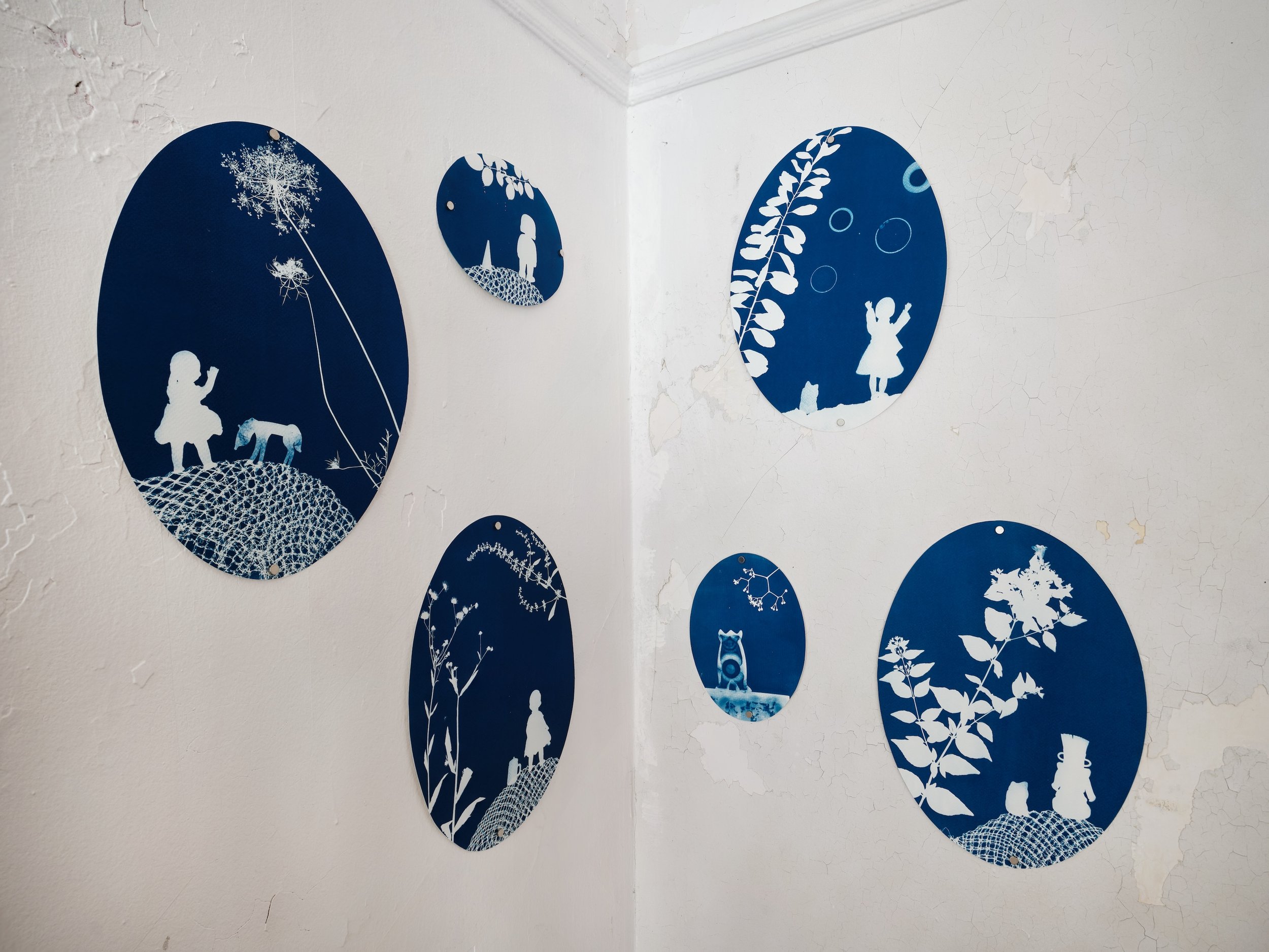 2025_10_21_Argenis_Apolinario_KODA_Cecile_16739 copy.jpg