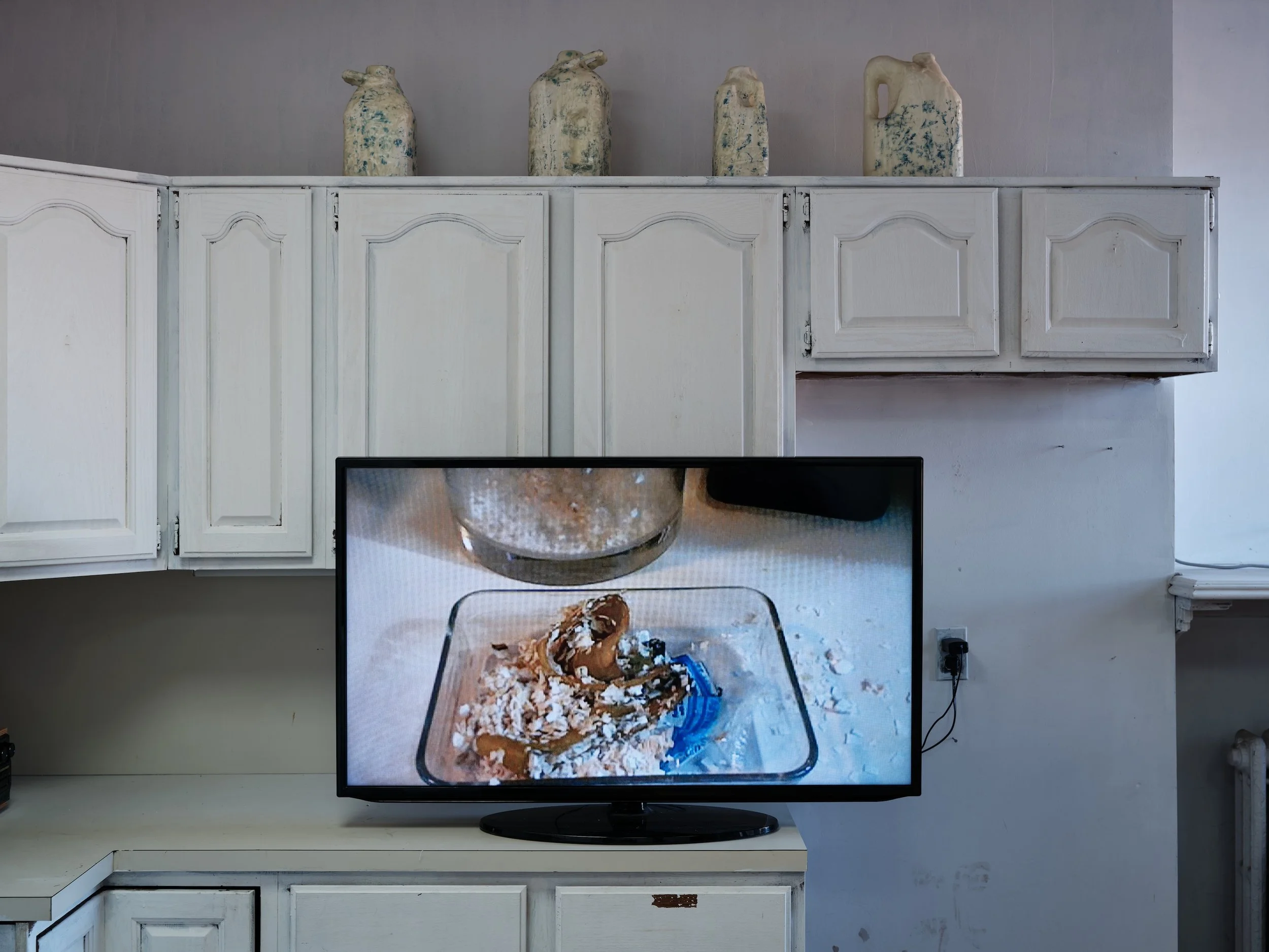 2025_10_21_Argenis_Apolinario_KODA_Cecile_16668 copy.jpg