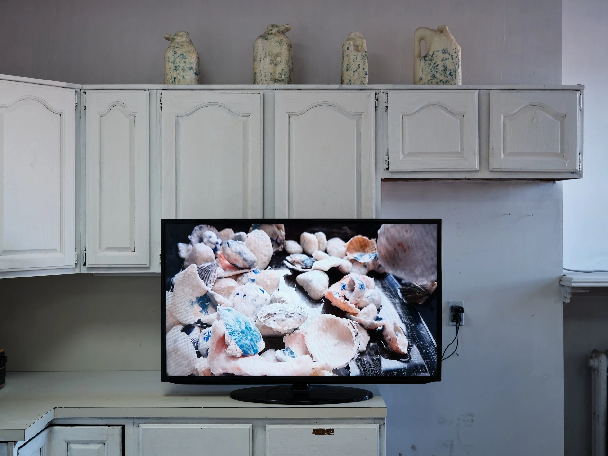 2025_10_21_Argenis_Apolinario_KODA_Cecile_16665 copy.jpg