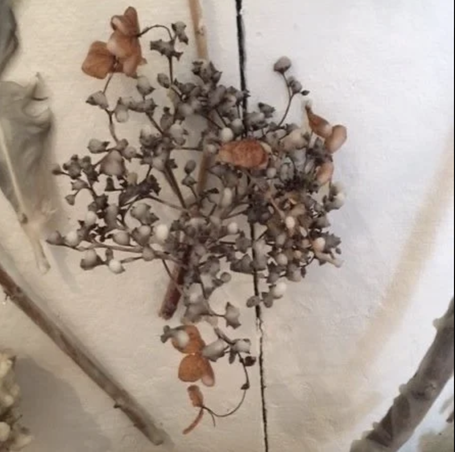3.CecileChong-On the Nature of Winter.png