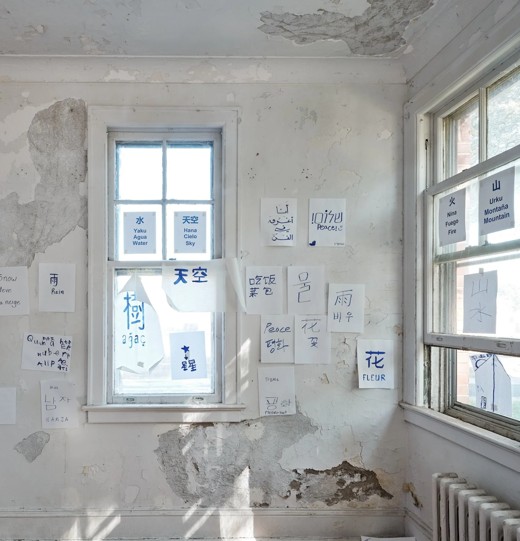 2025_10_21_Argenis_Apolinario_KODA_Cecile_16708 copy 2.jpg