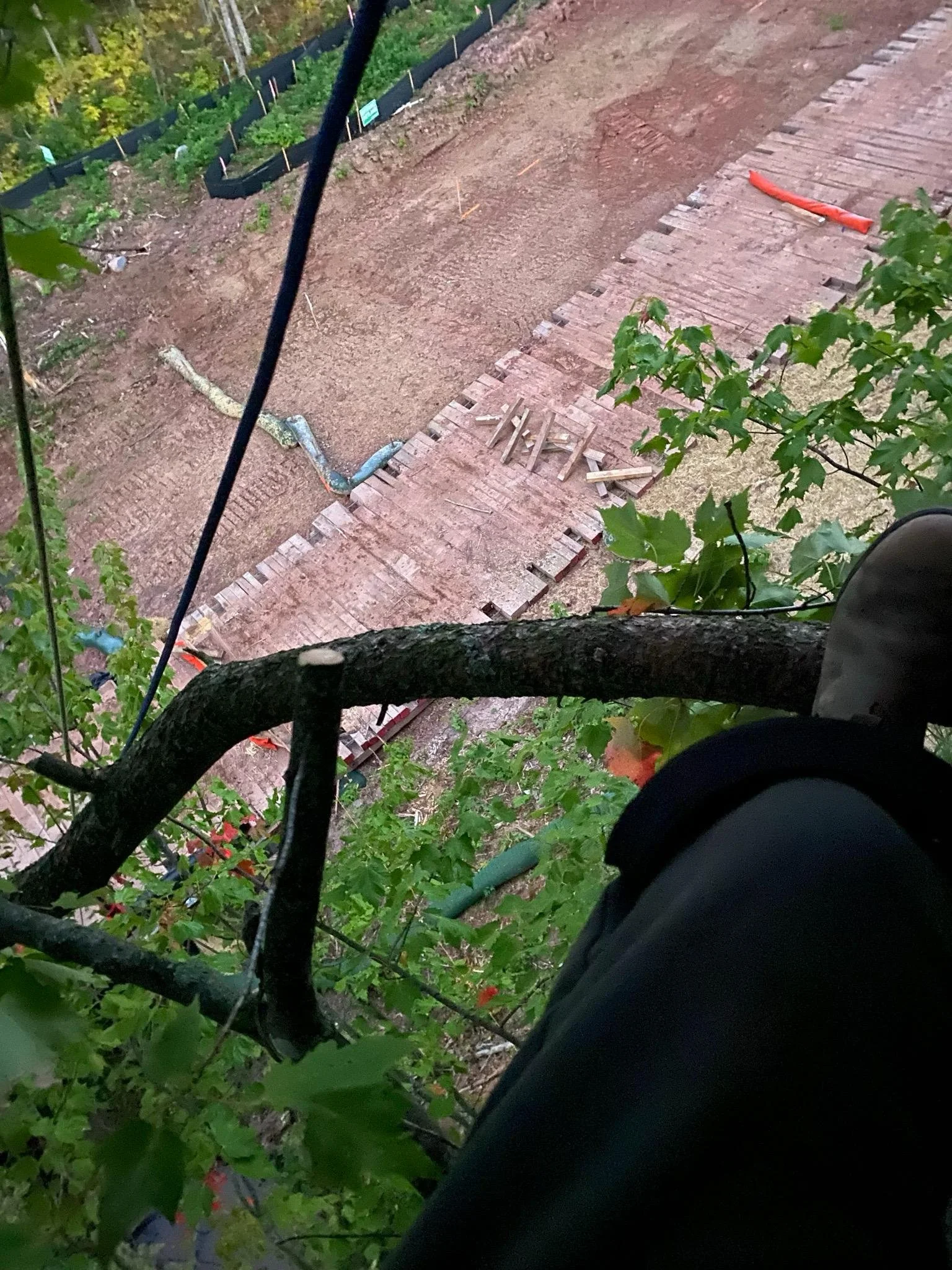 Water Defender Establishes Tree Sit Near Deer Creek Along Line 5 Reroute