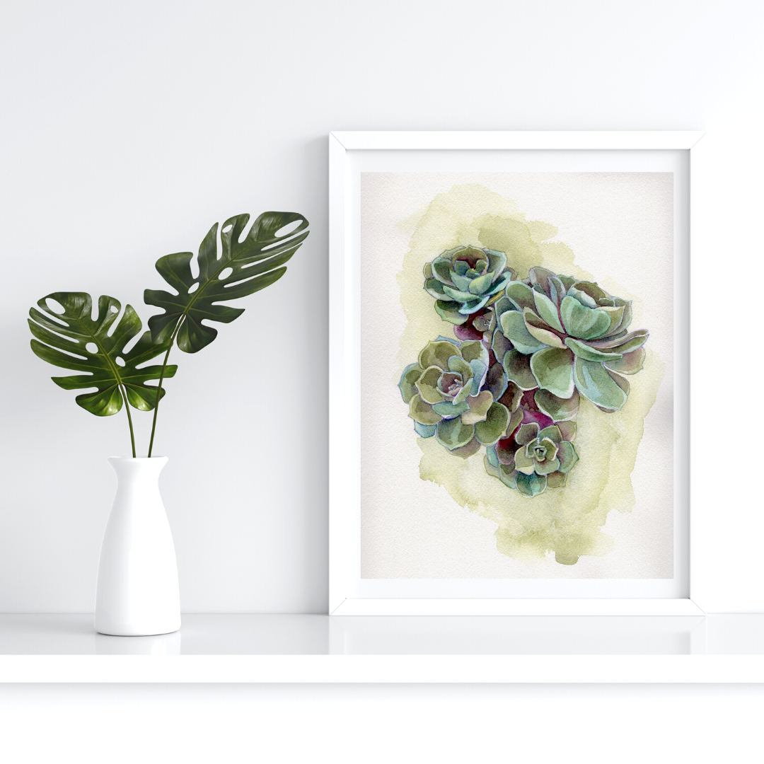 Succulents #2 Original Watercolor Painting