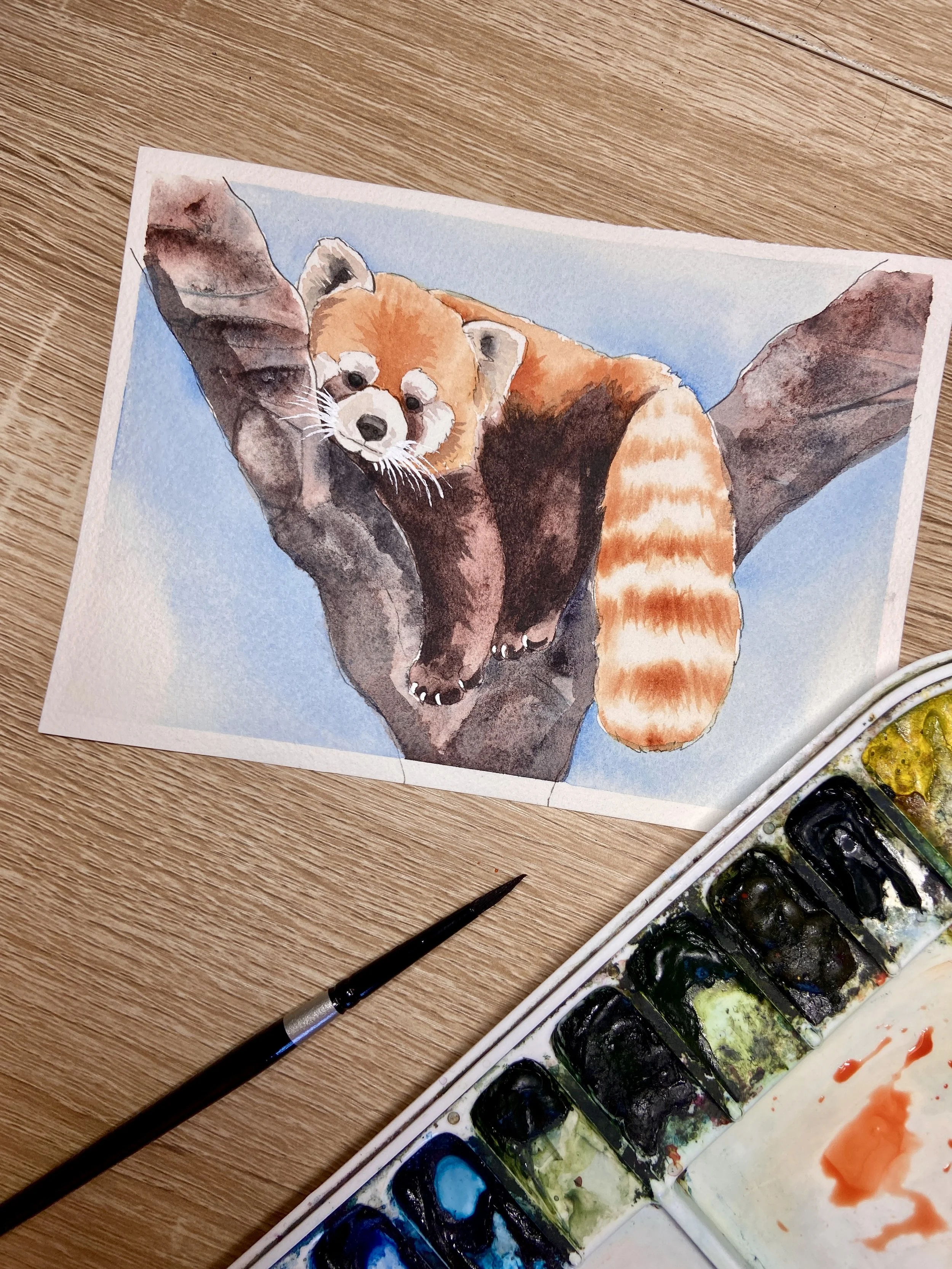 Red Panda Watercolor Class