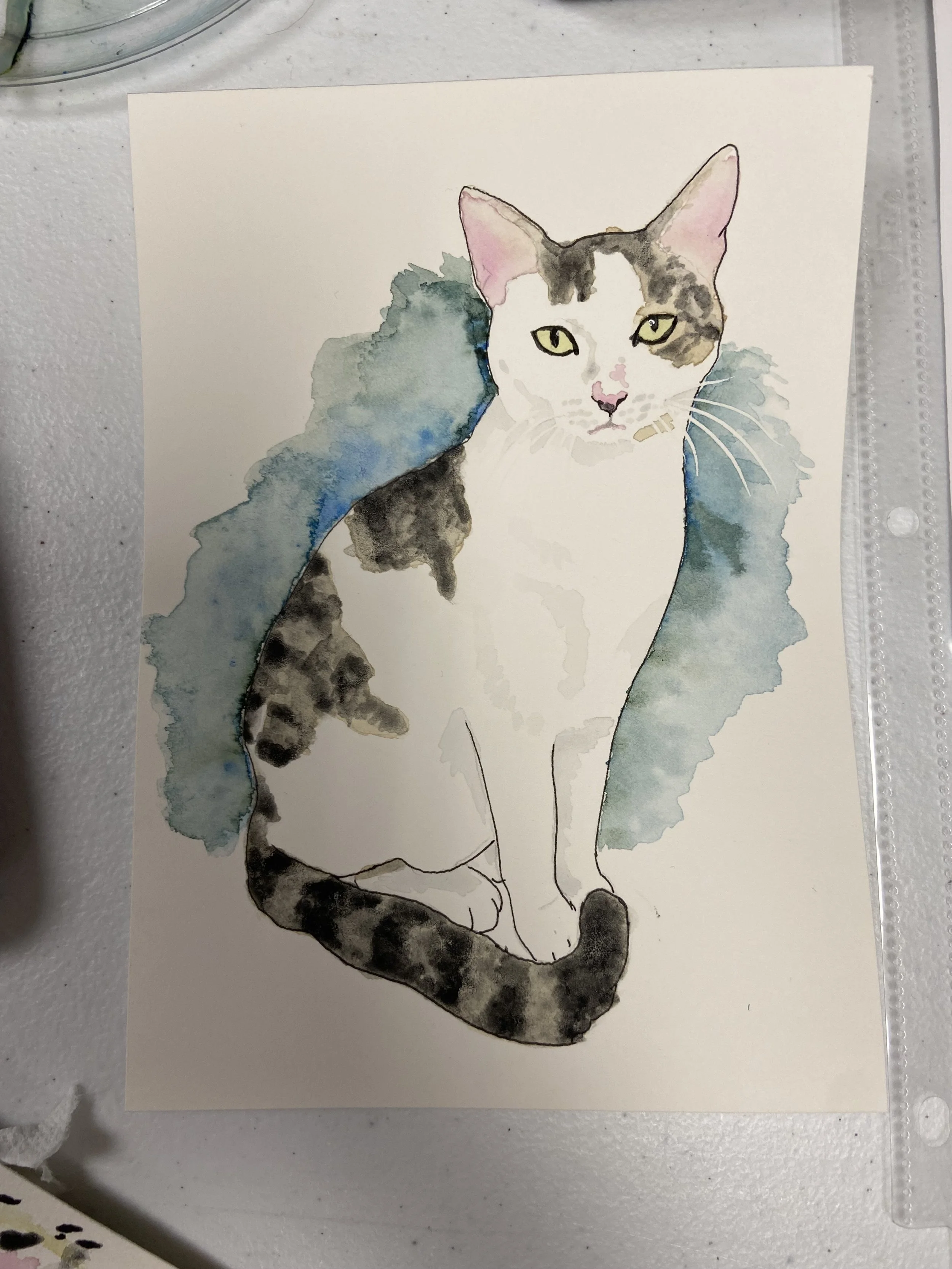 Paint your Cat Night at Delta Beer Lab