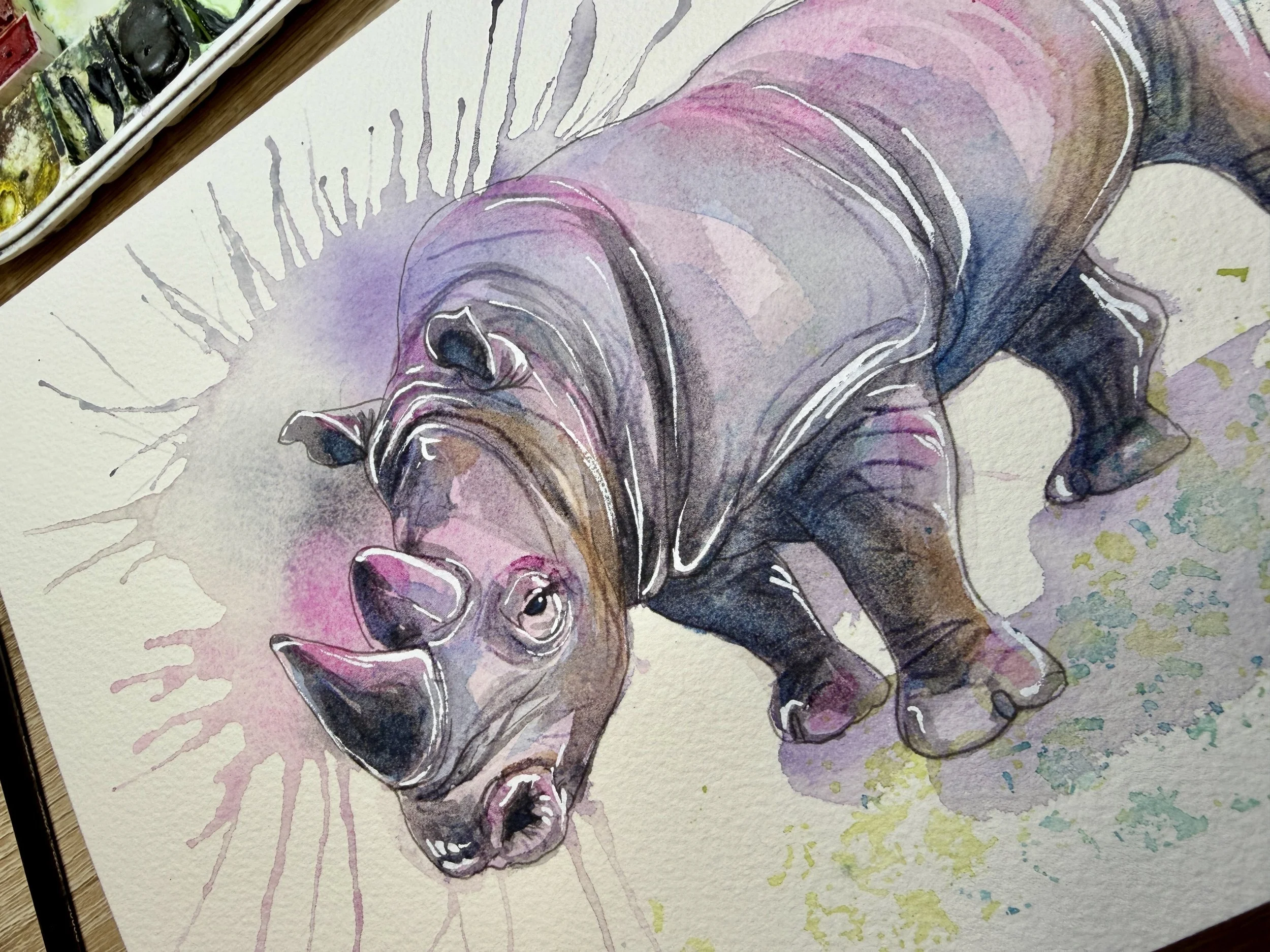 Conservation Paint Night: Harmon the Rhino