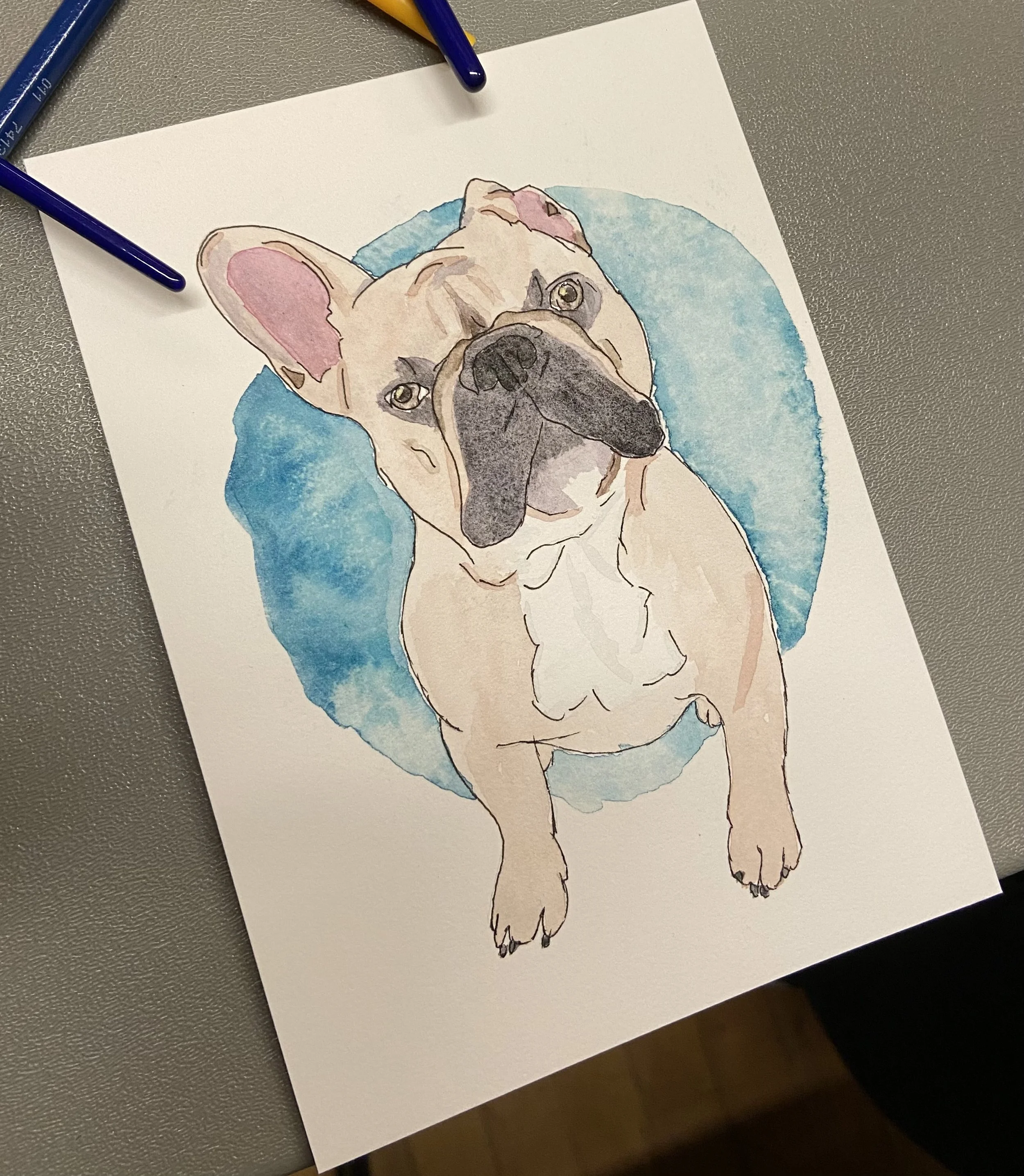 Paint your Dog at Cactus Co. in Monroe, WI