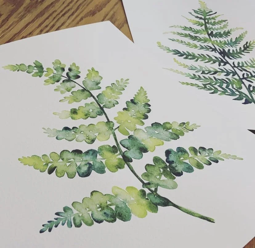 Lady Fern in Watercolors