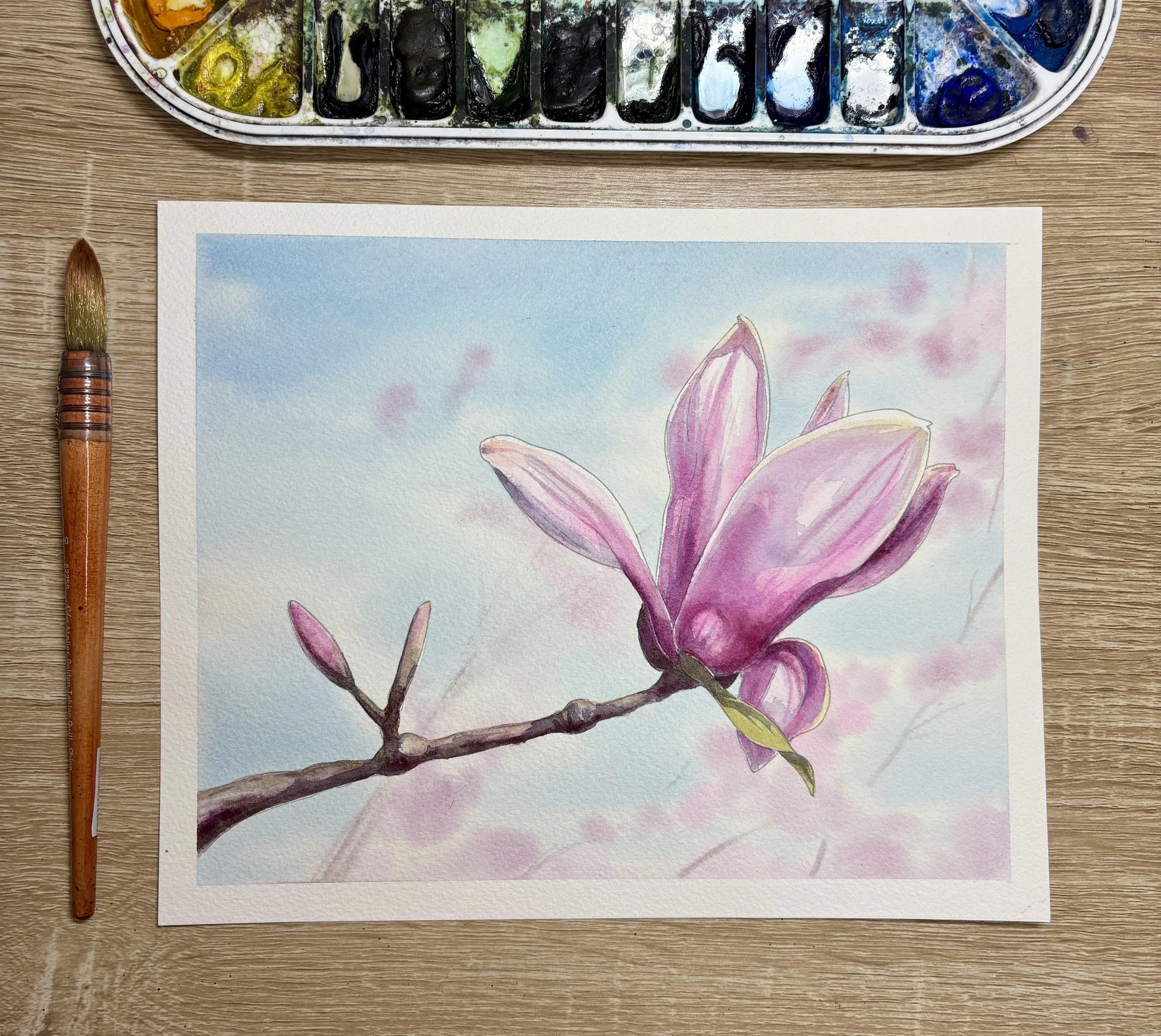Magnolia Bloom in Watercolors