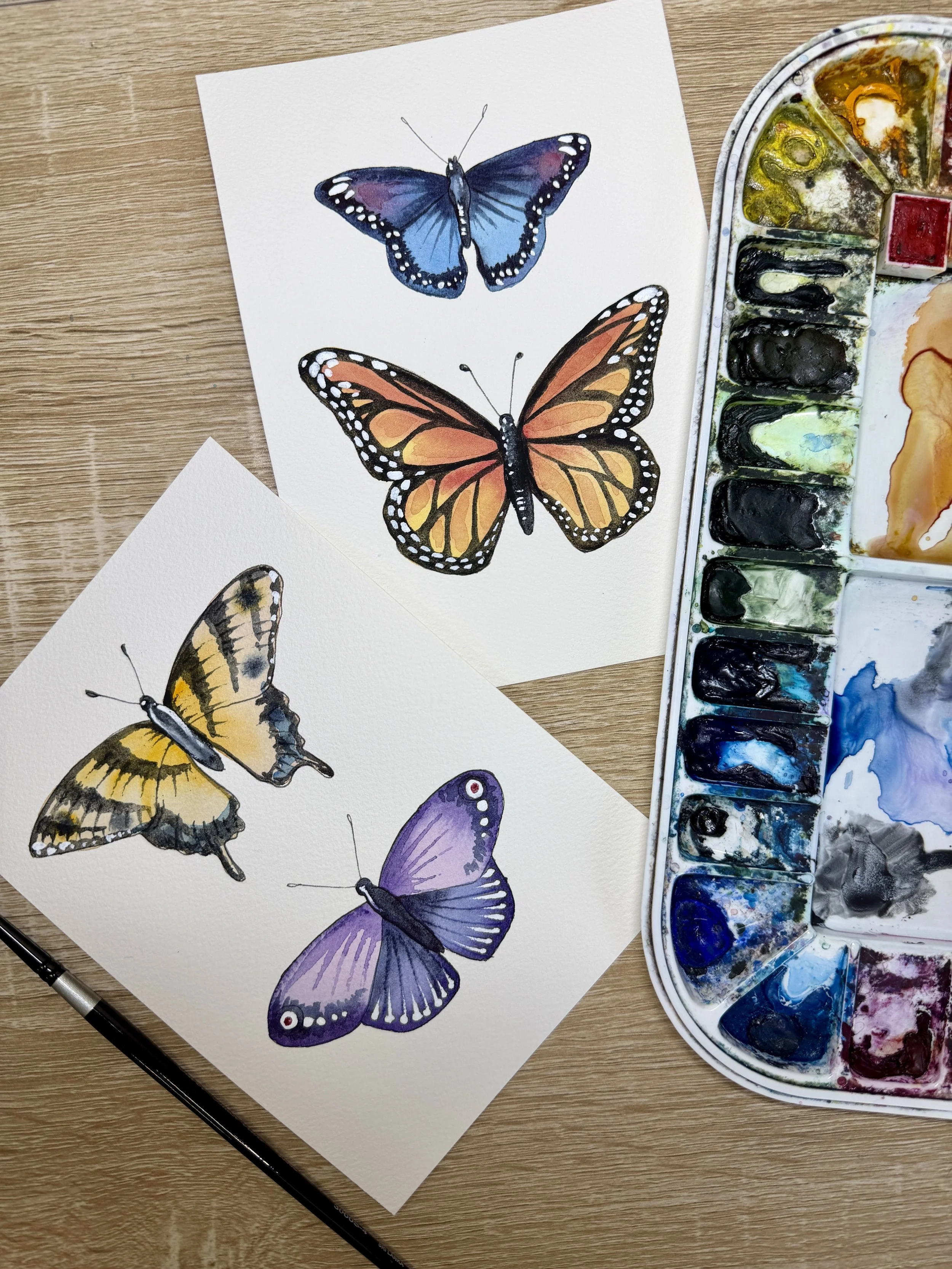 Blooming Butterflies
