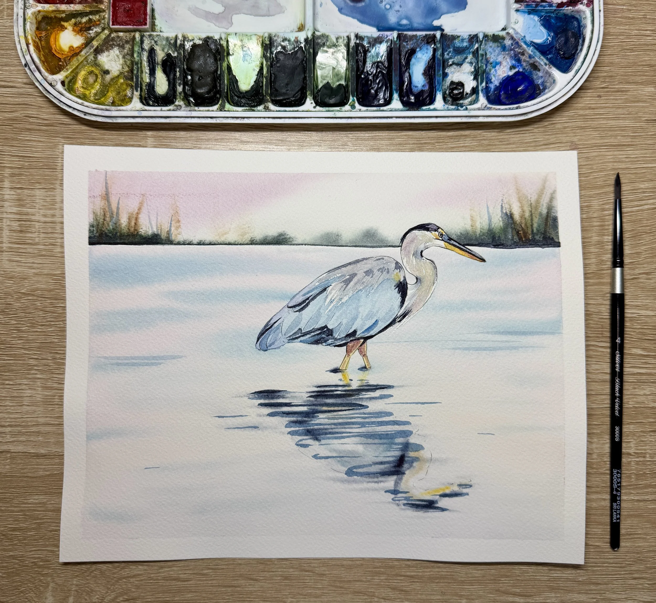 Great Blue Heron