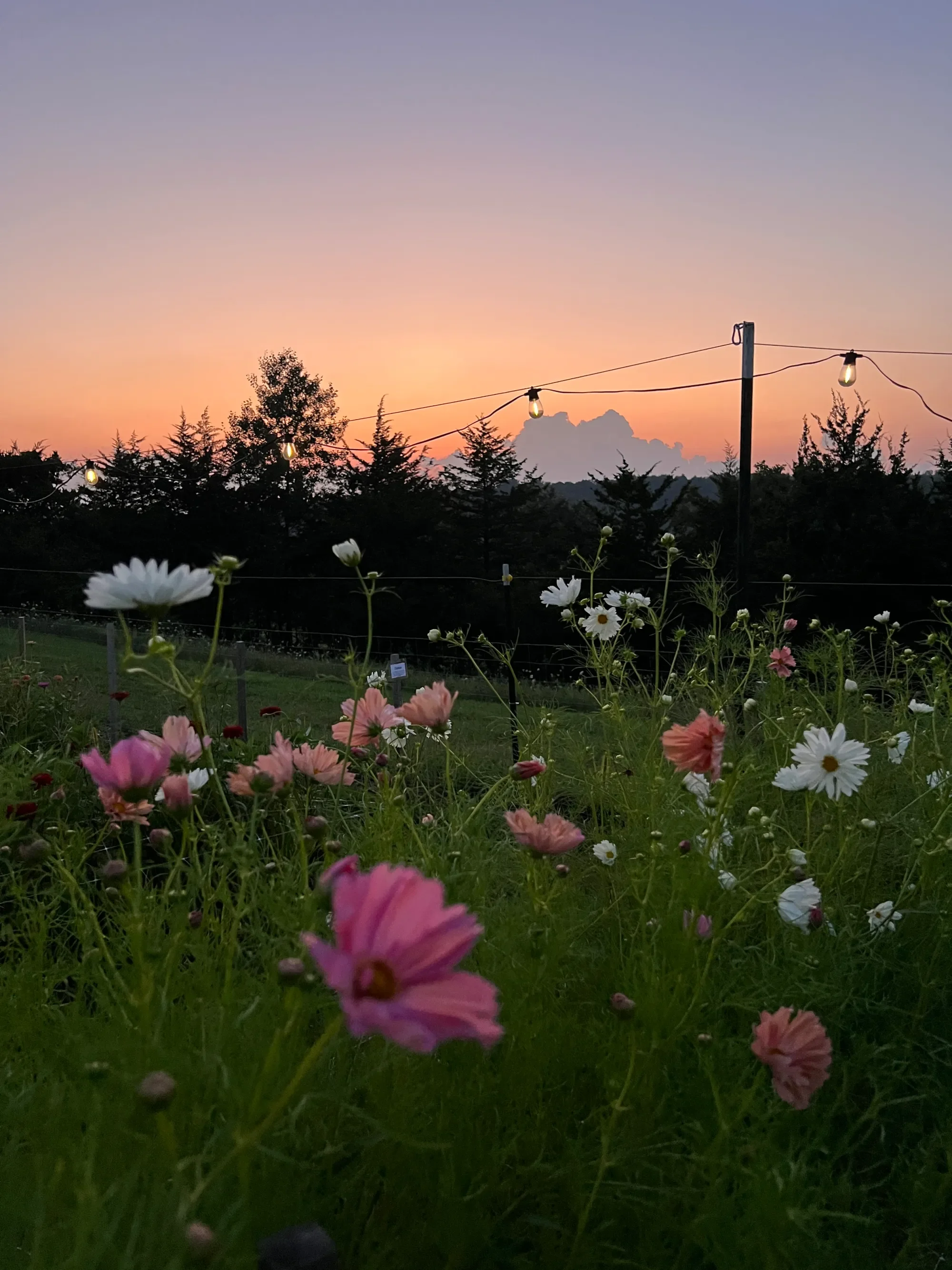 img_7814-2.webp