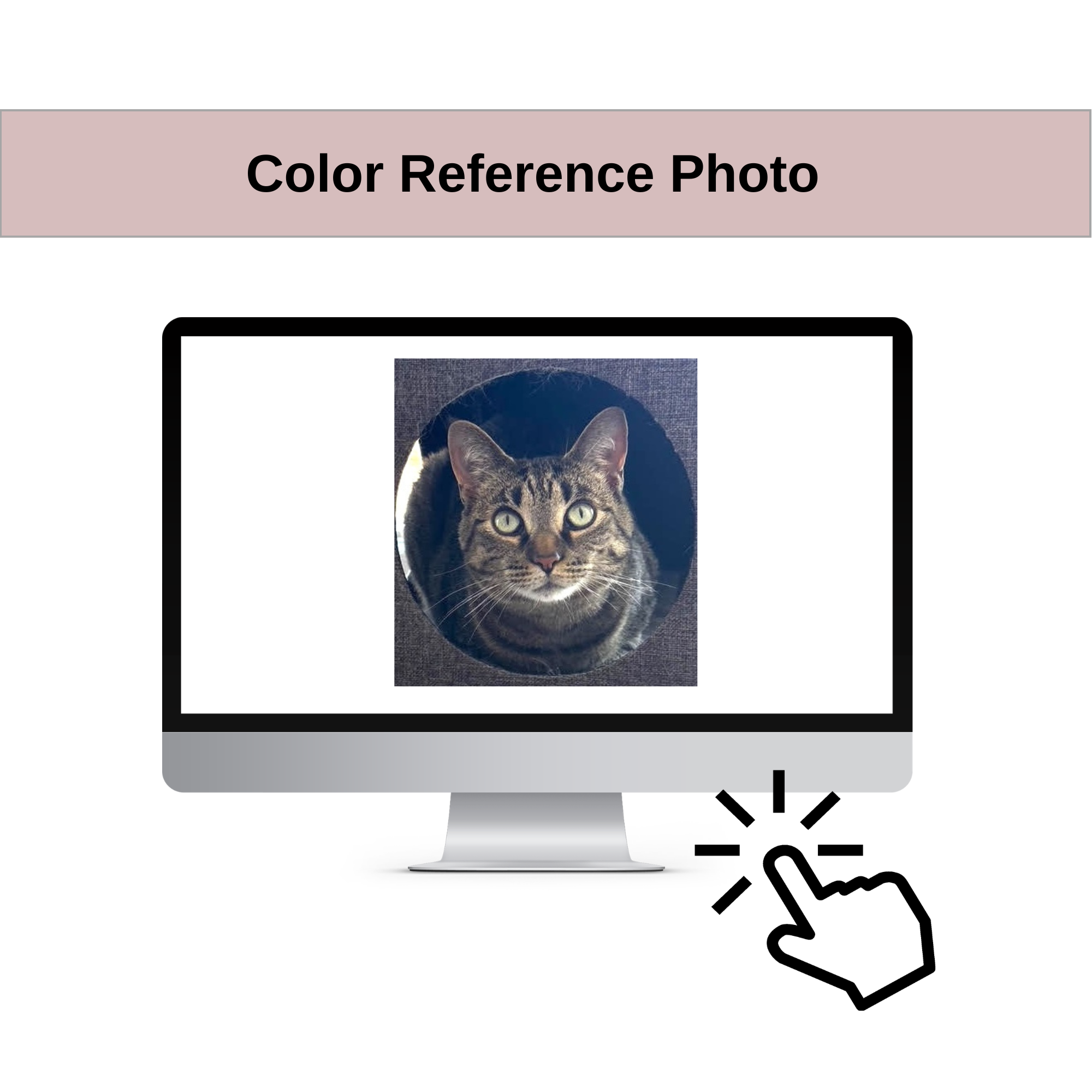 28.png