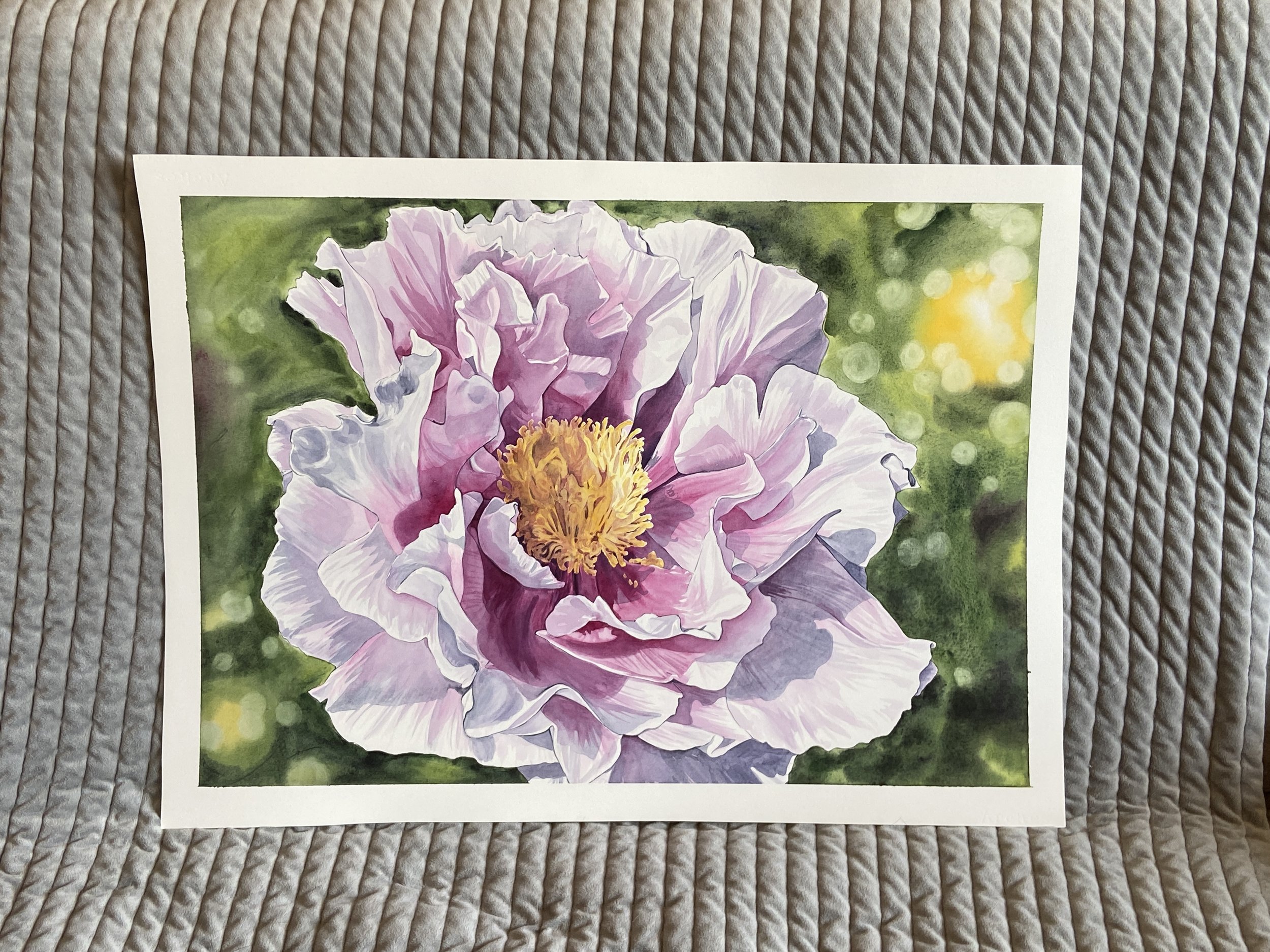 Framed Original: Peony at Olbrich Gardens