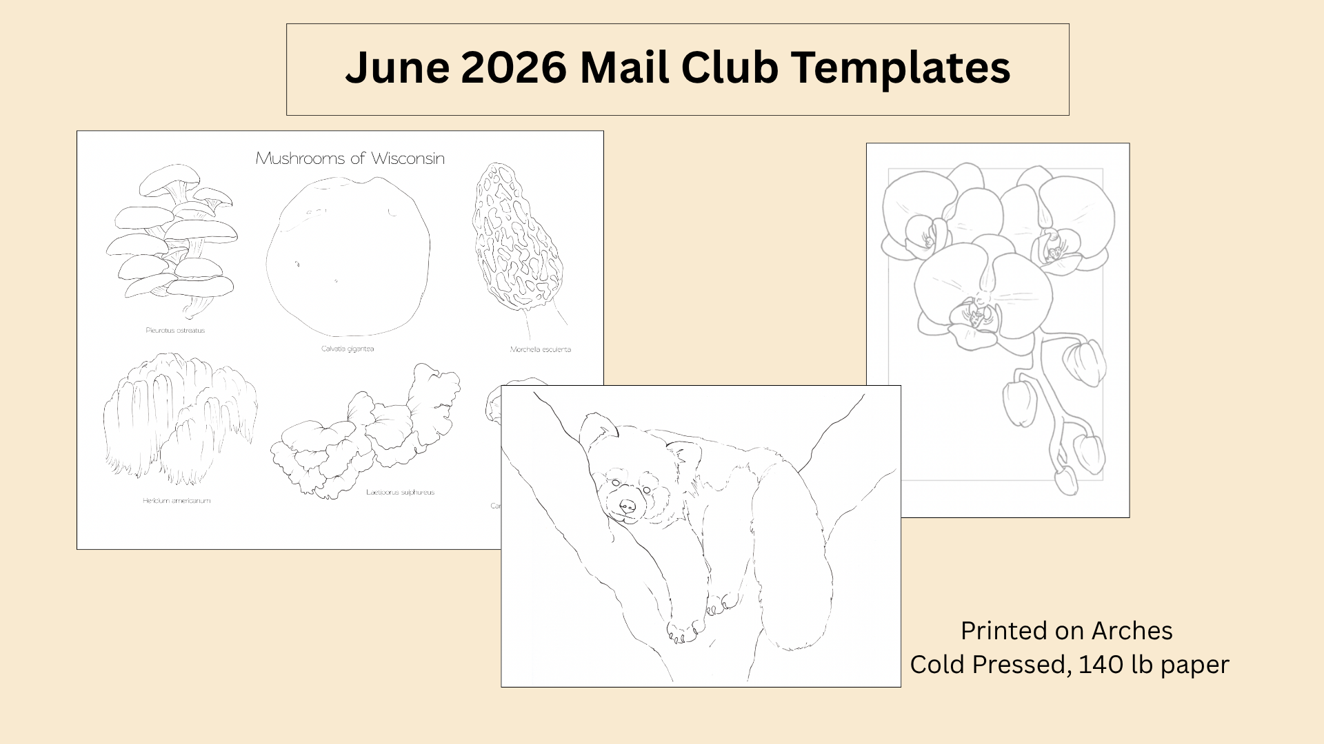 Mail Club Templates: June 2026 (For Patreon Mail Club Members Only)