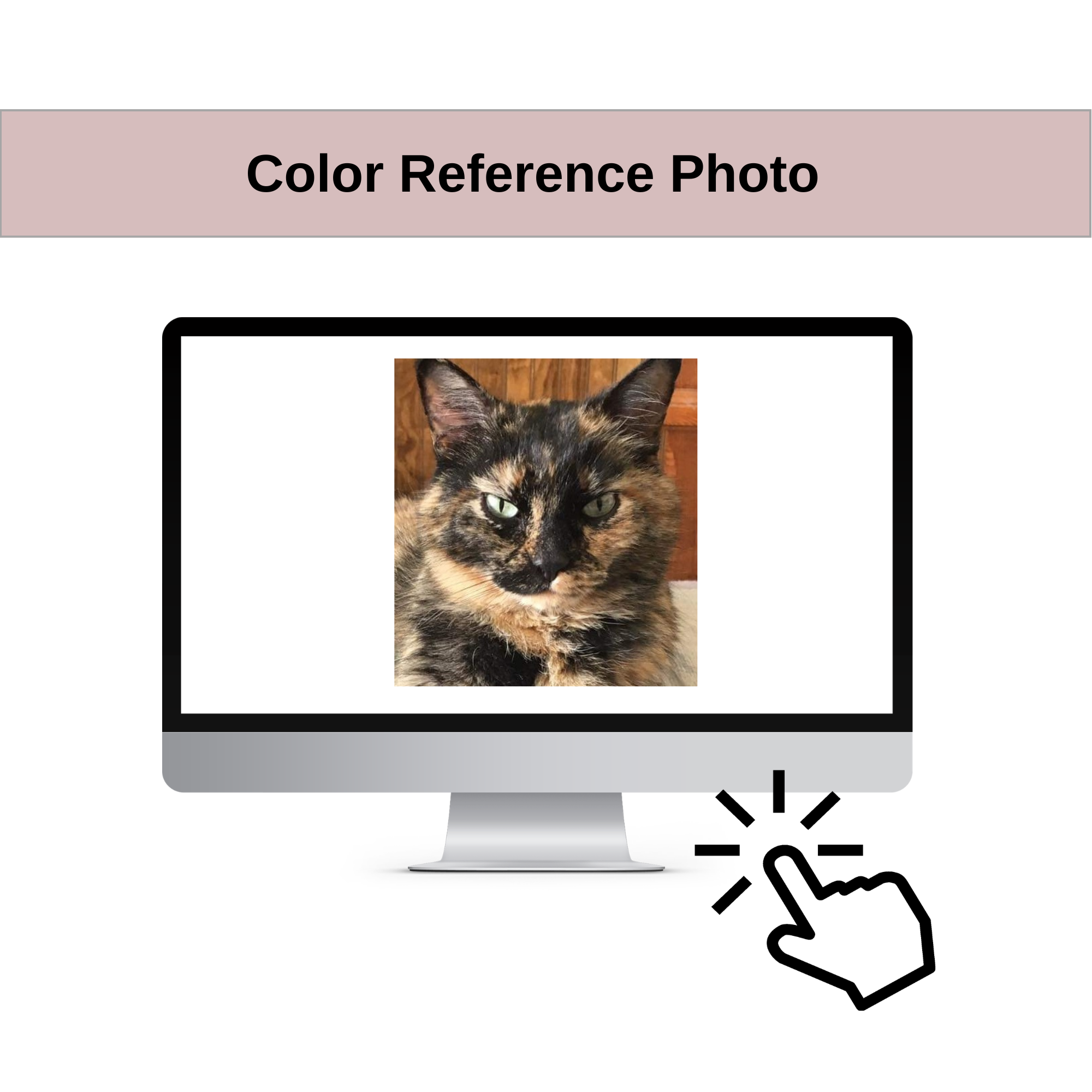 31.png