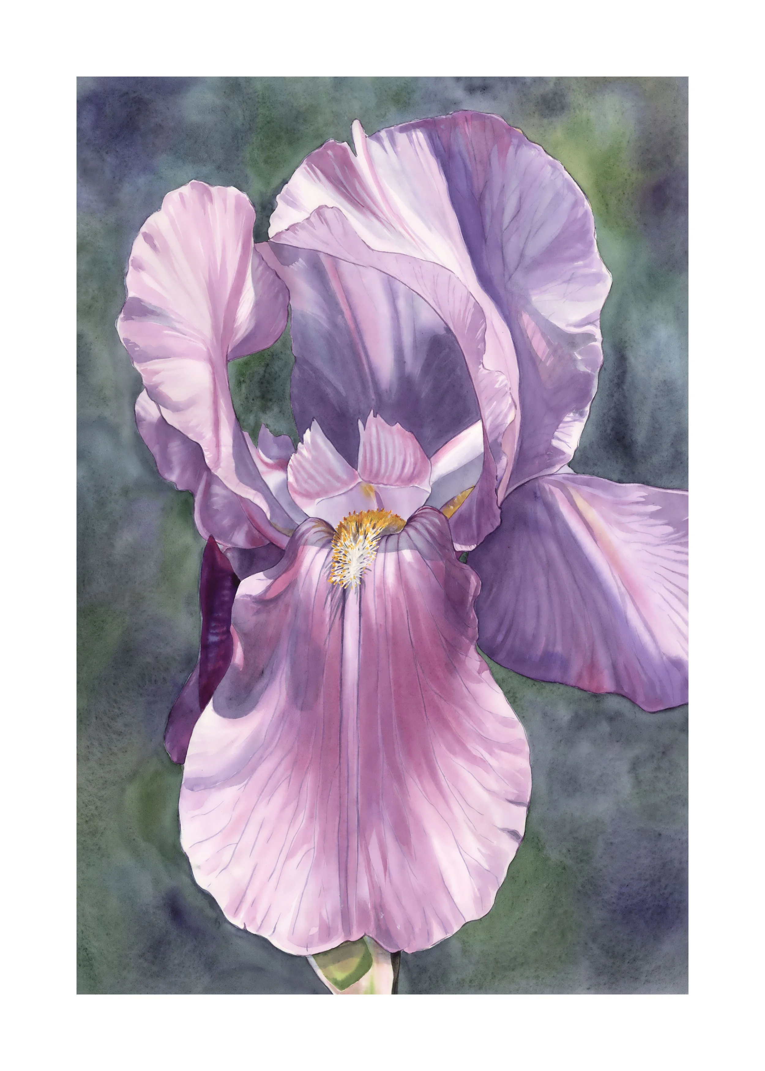 Framed Original: Iris Down the Street