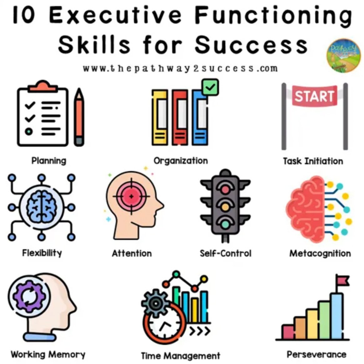 What are Executive Function Skills? — Kanter Coaching