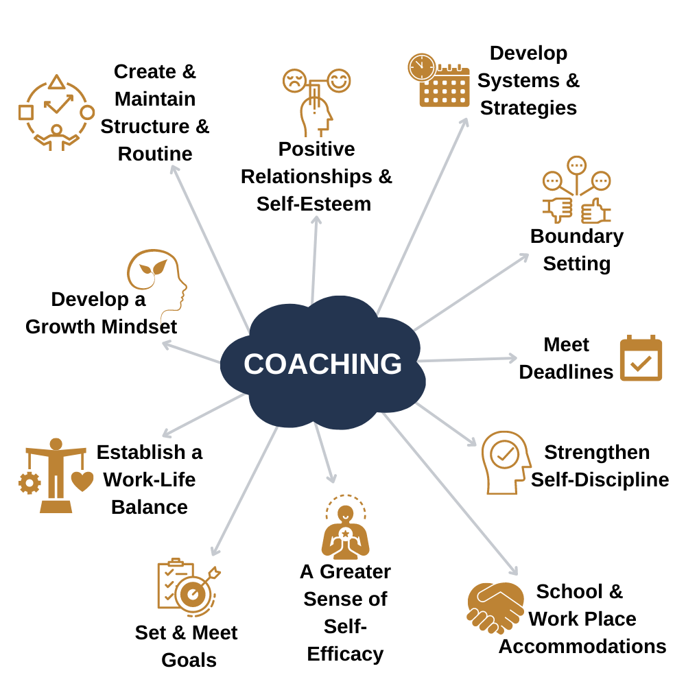 What is Executive Function Coaching? — Kanter Coaching