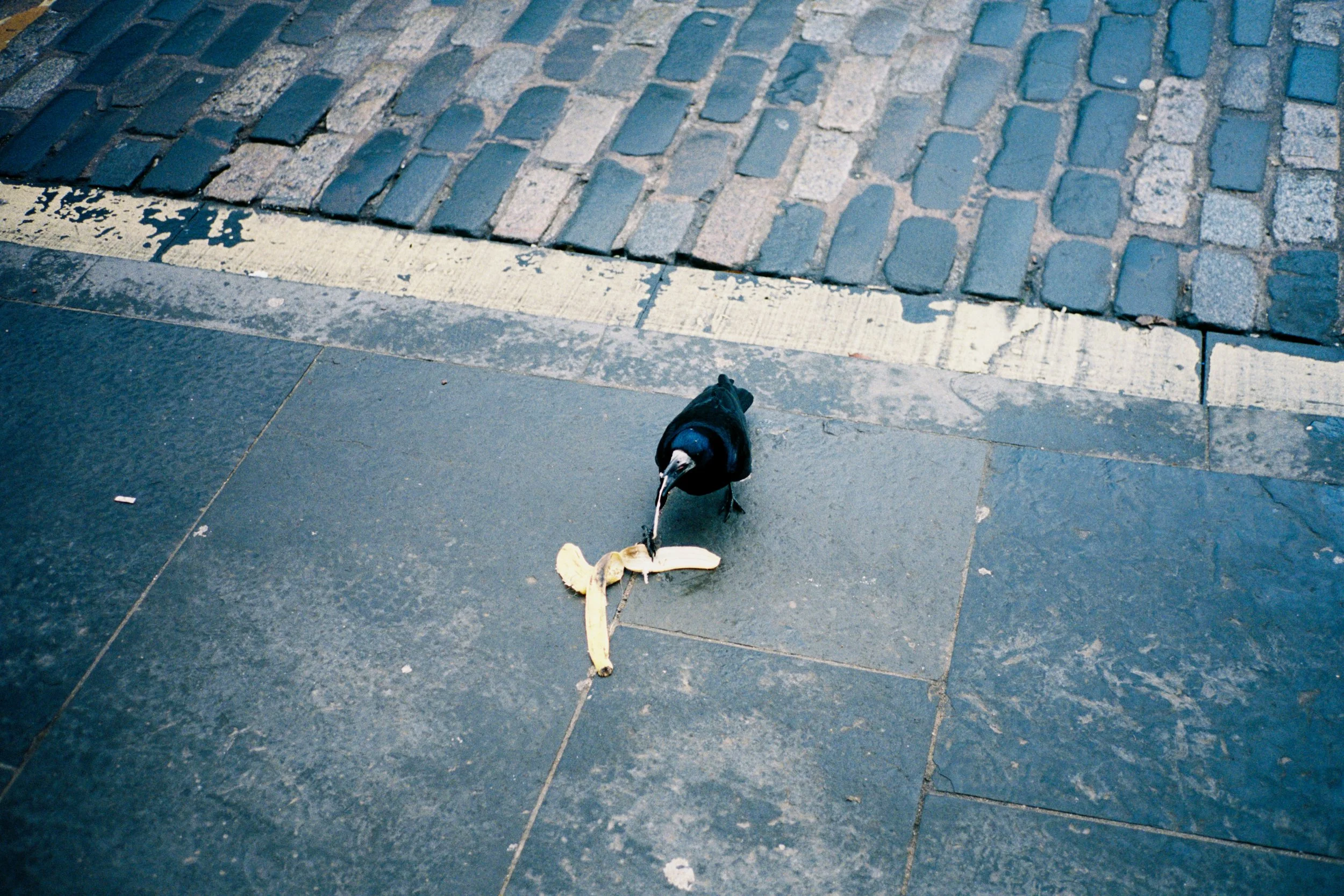 website upload - 26 of 27.jpeg