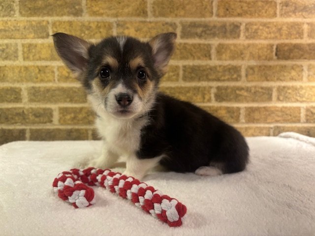 *Reserved for Cody* Baily & Yuri