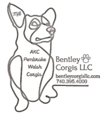 Bentley Corgis LLC