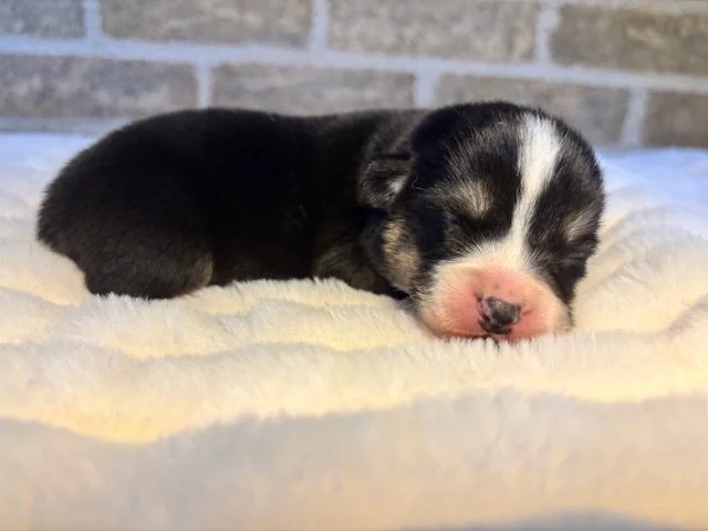 Reserved for Kaitlin