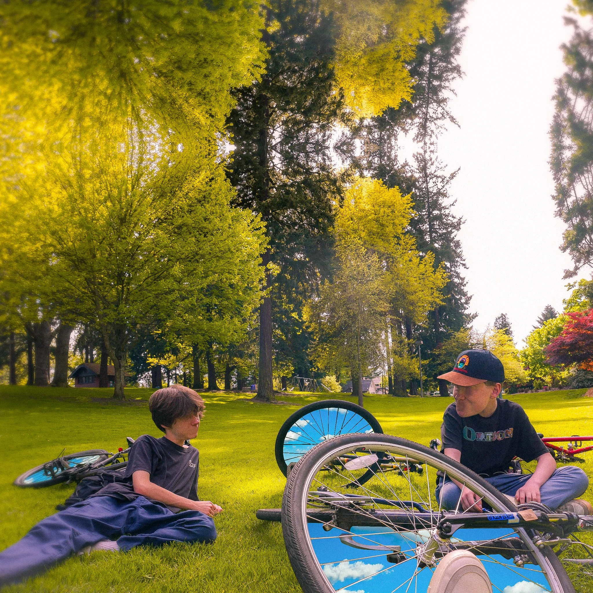#382 Summer Bikes