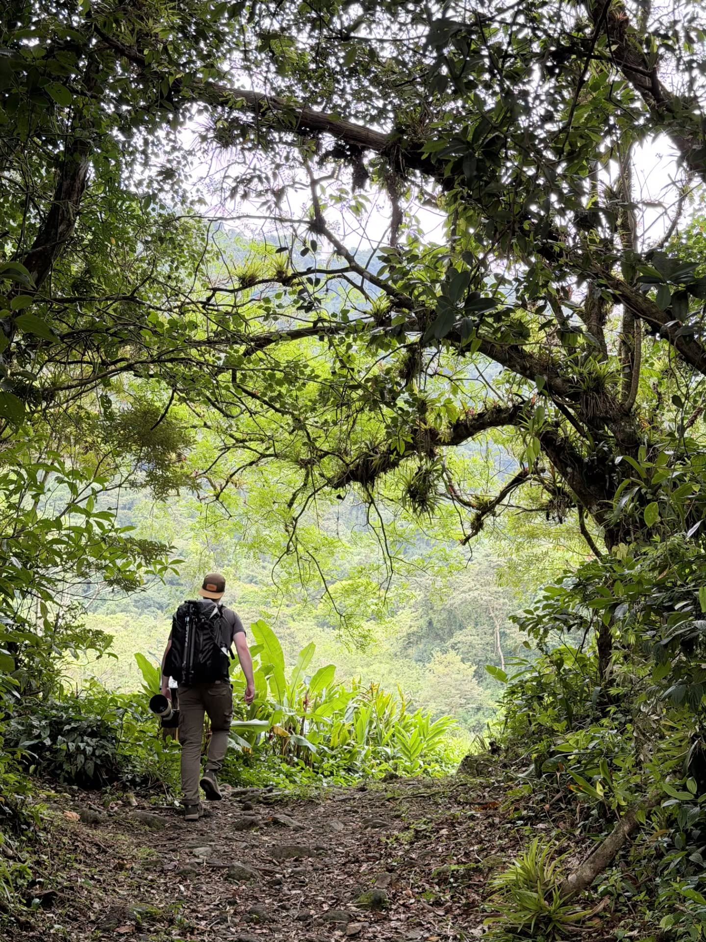 It's always difficult transitioning back to "real life" after an immersive trip like these past 8 days in Costa Rica.

Getting the opportunity to spend every day wandering through dense cloud forest, watching the canopies, listening for bir