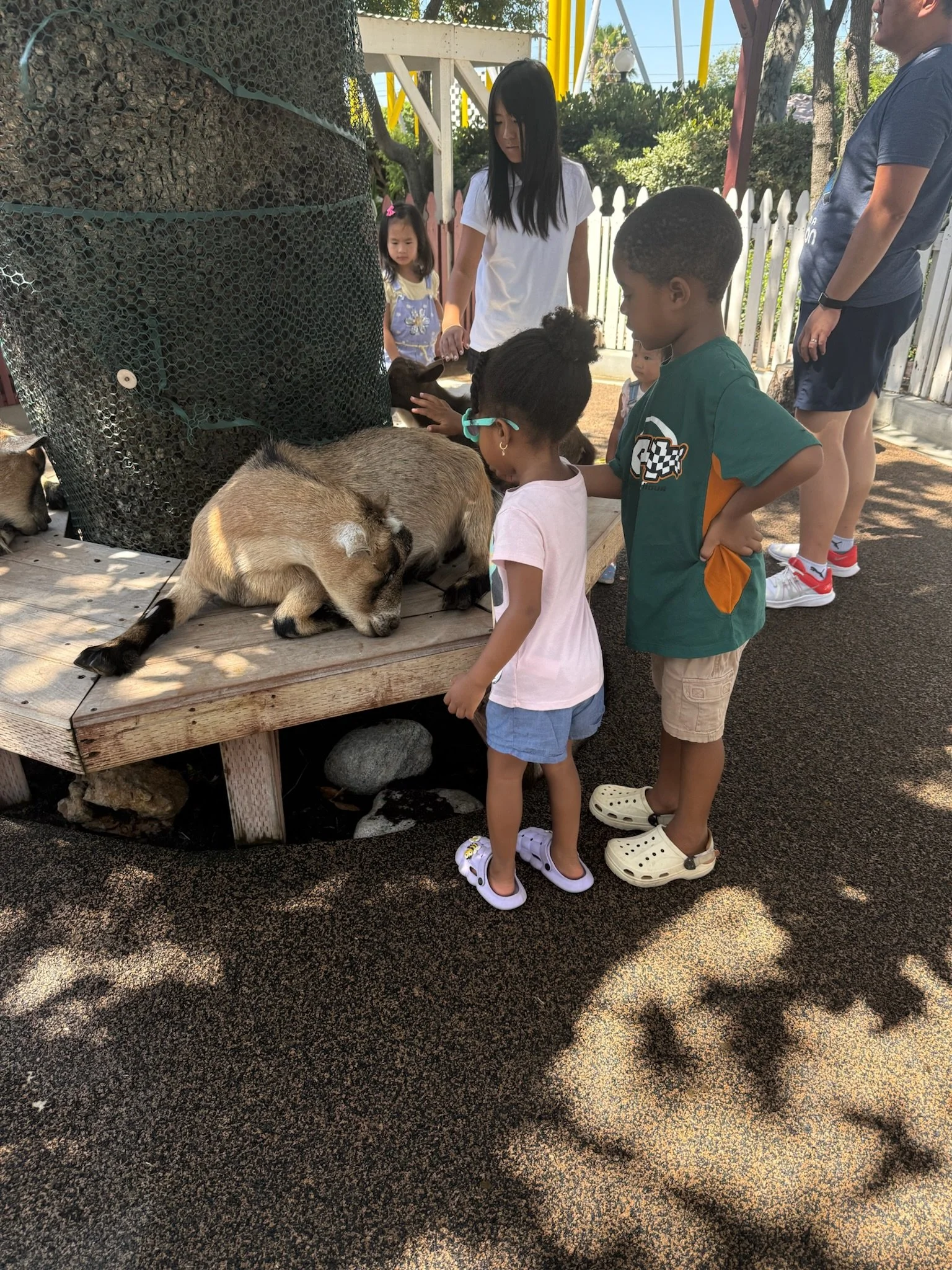 IMG_8119.jpeg