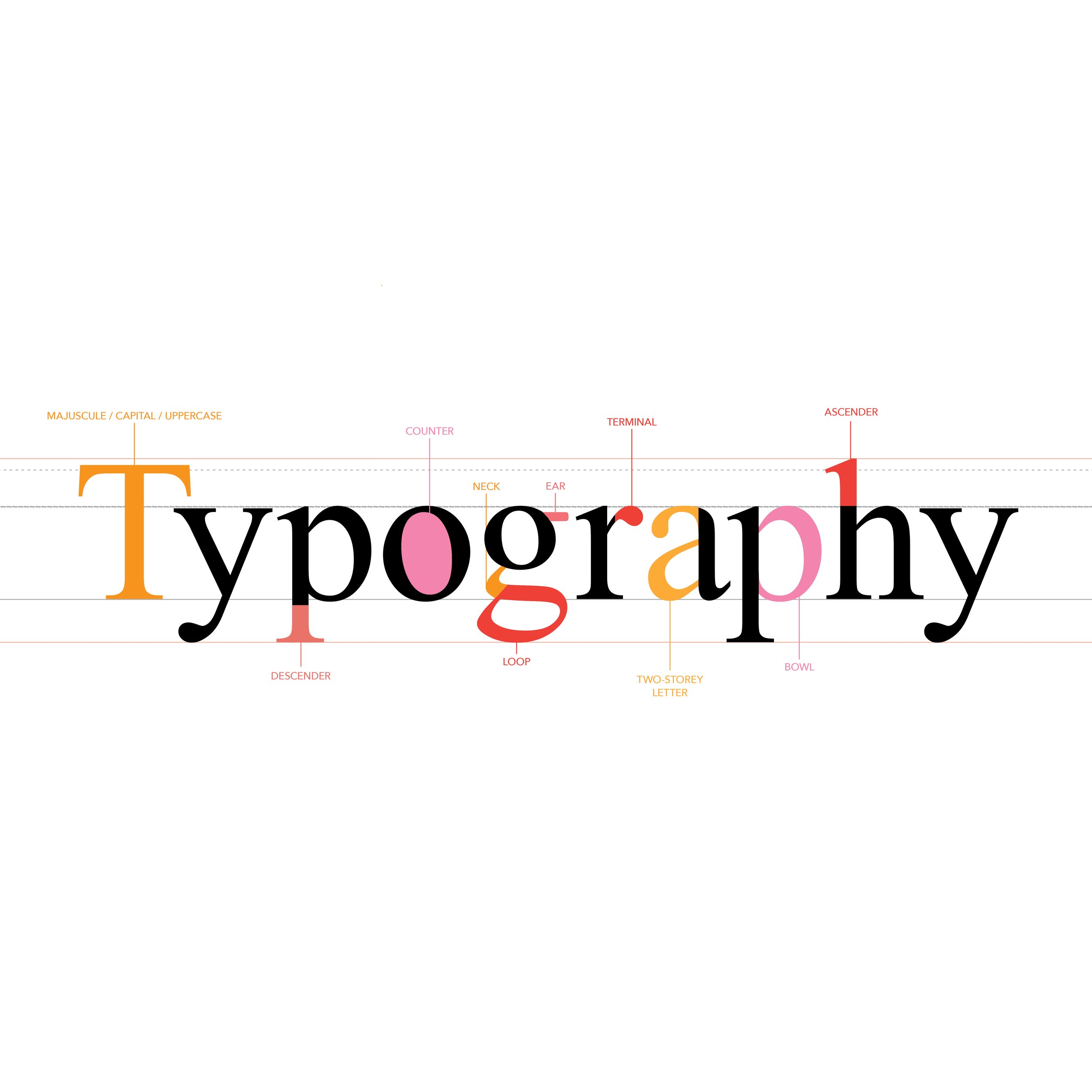 Typography