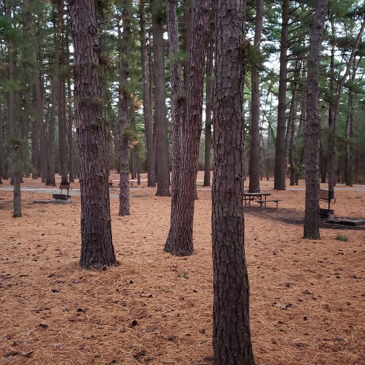 Sand Ridge State Forest — River Valley Outdoors