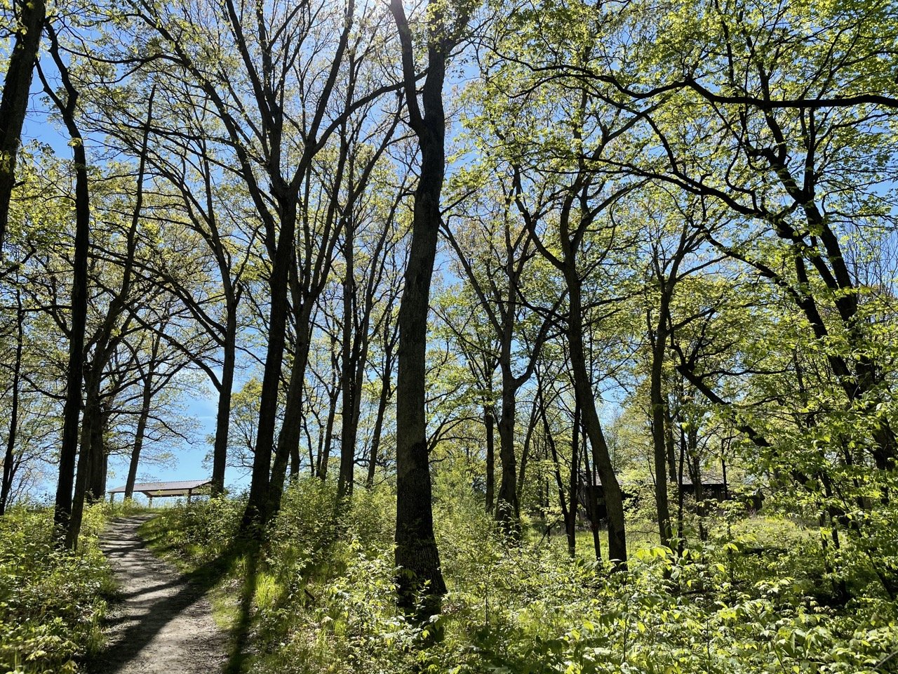 19+ Singing Woods Nature Preserve