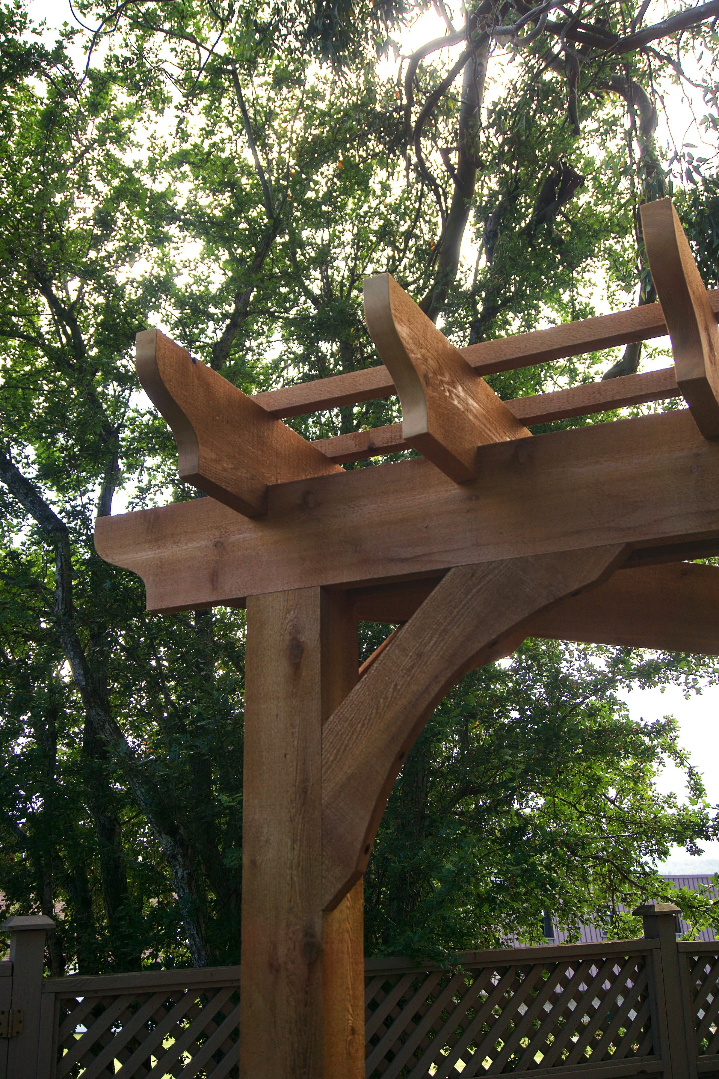 Red cedar pergola in Victoria BC with curved rafter ends 