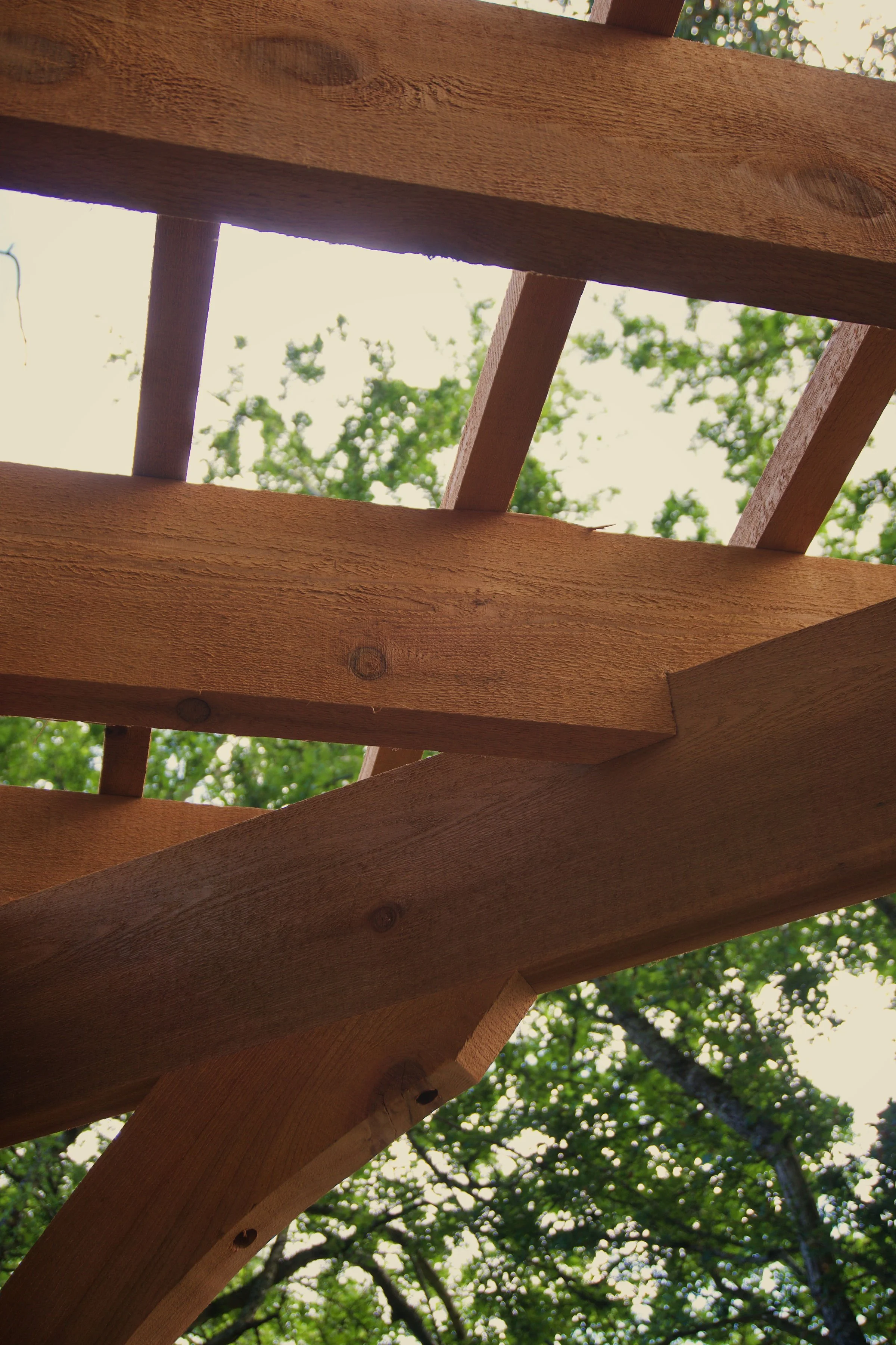 Red cedar pergola in Victoria BC with diagonally notched rafters