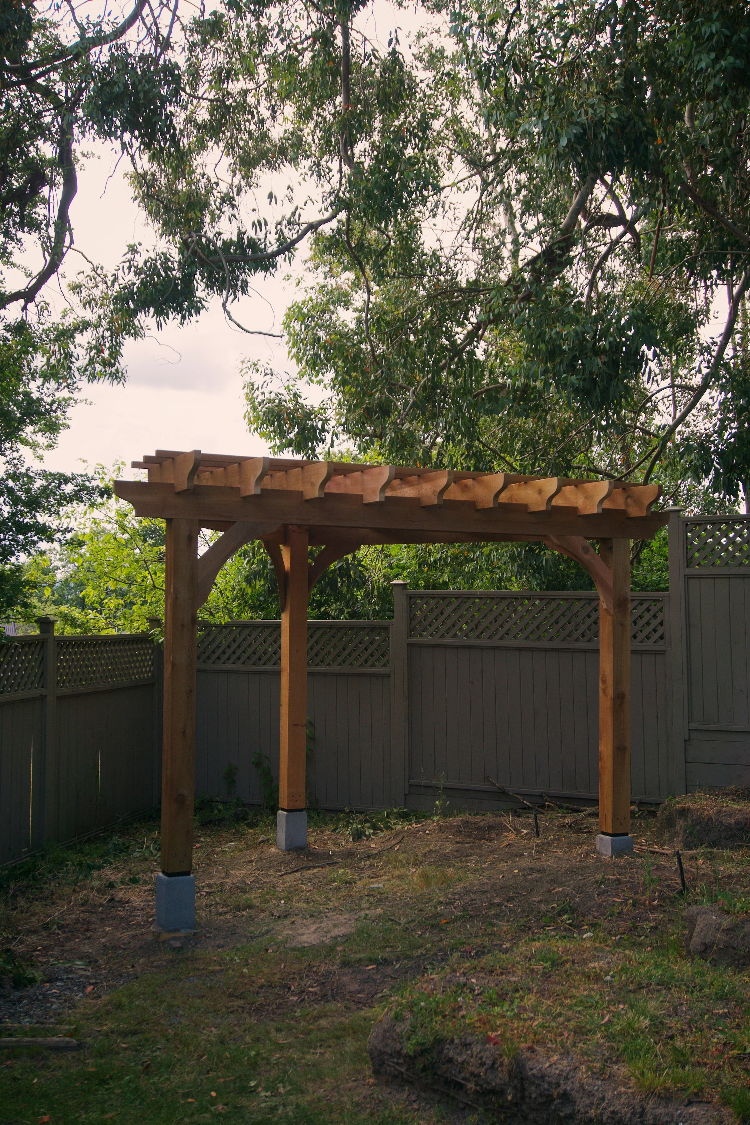 Triangular red cedar pergola in Victoria BC with curved rafter ends 