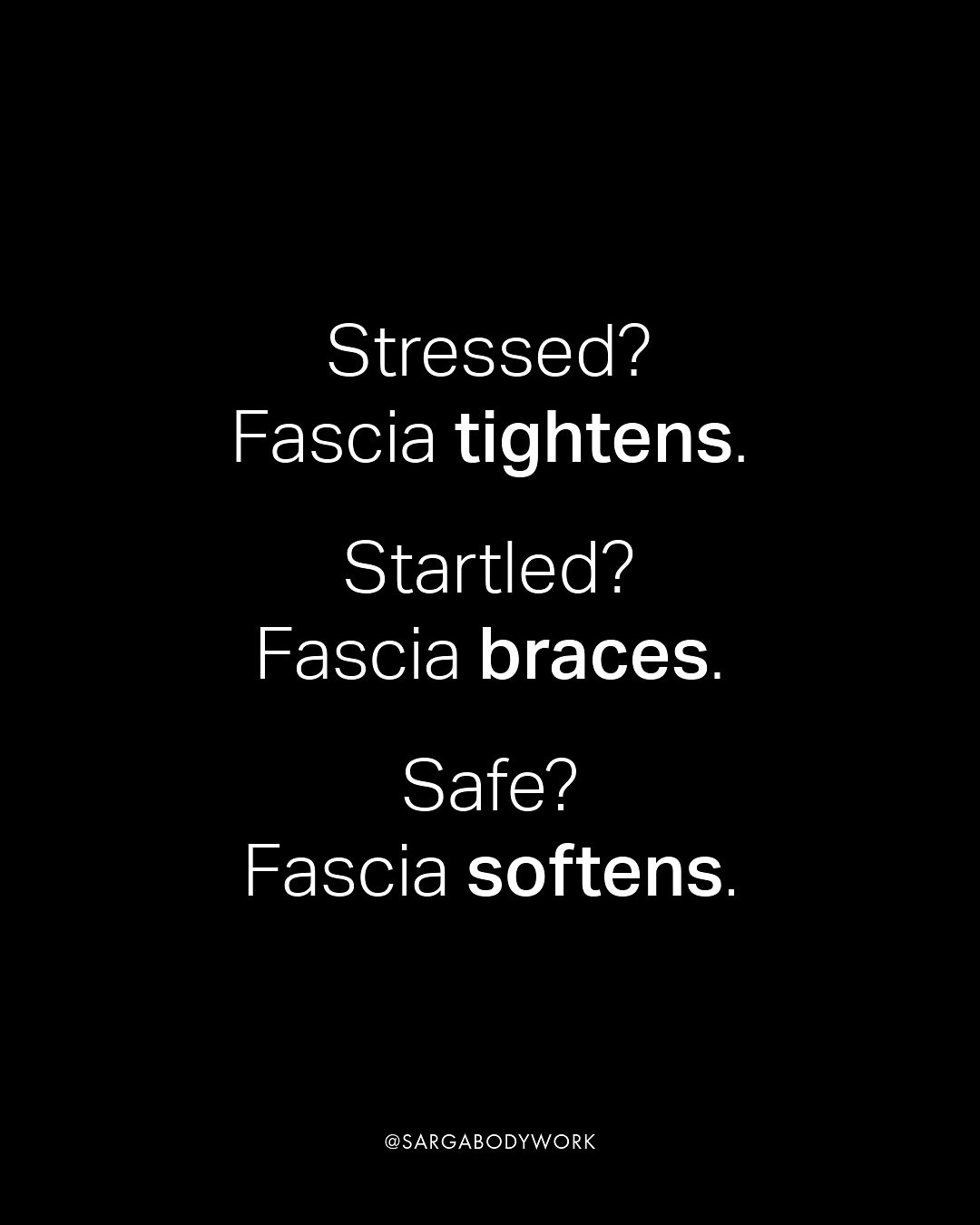 Your fascia is always listening. 👂👀
To how safe you feel.
To how much stress you&rsquo;re under. Physically and emotionally.

Fascia isn&rsquo;t just structural.
It&rsquo;s sensory.
It&rsquo;s responsive.
It&rsquo;s constantly adapting to what your