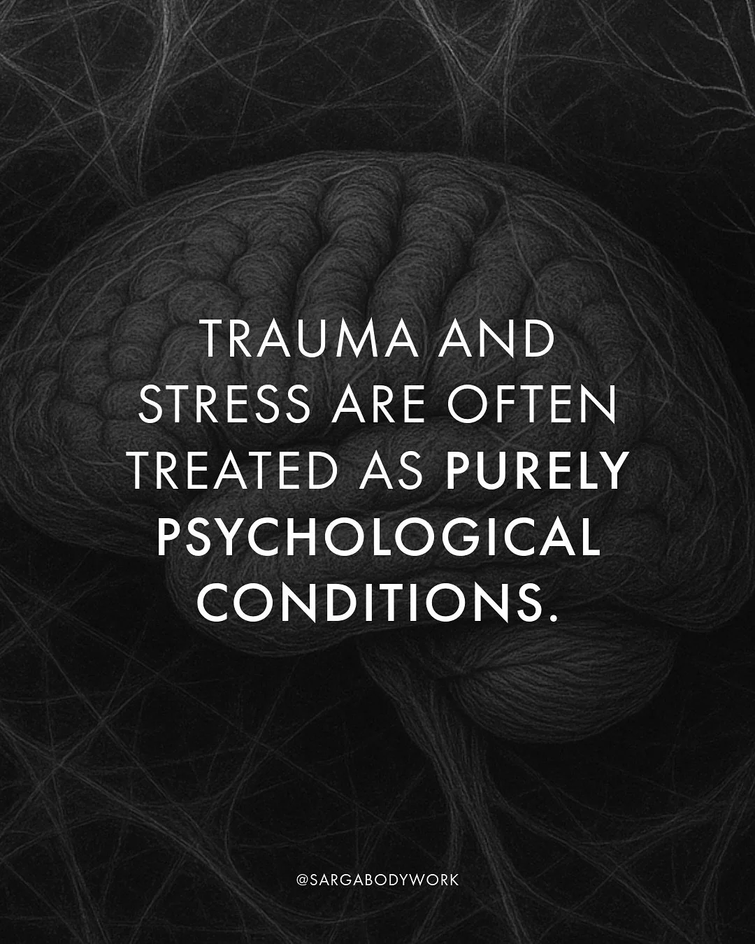 Have you ever noticed how trauma and stress are often treated as purely mental conditions, when they can leave their deepest imprint in the body?

When something overwhelming happens, your nervous system responds instinctively - muscles brace, breath