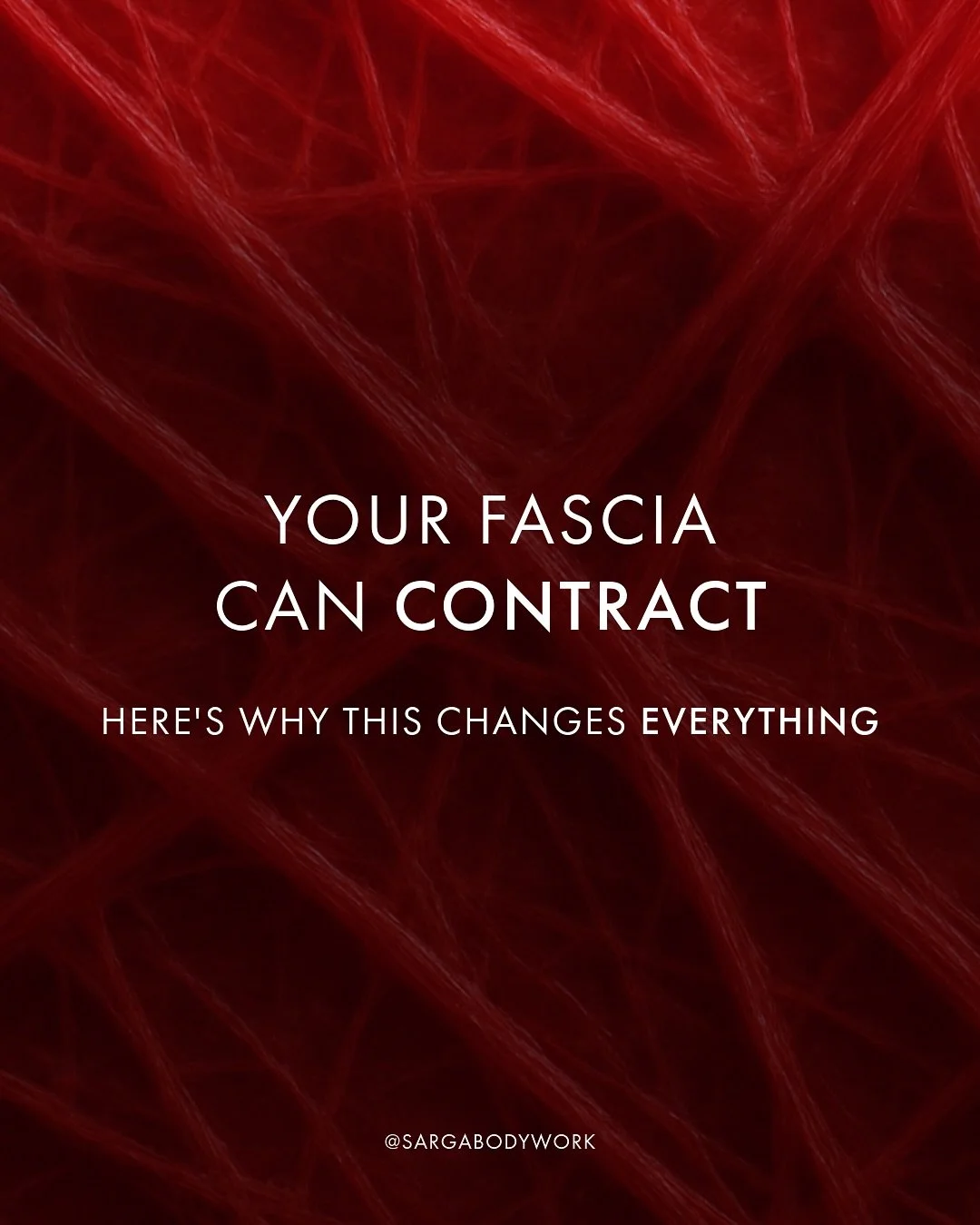 Most of us learned that fascia was passive tissue - just structural scaffolding holding things in place.

It turns out, that&rsquo;s not true.

Fascia contains specialized cells called myofibroblasts that are the main contractile cells in fascia.

Wh
