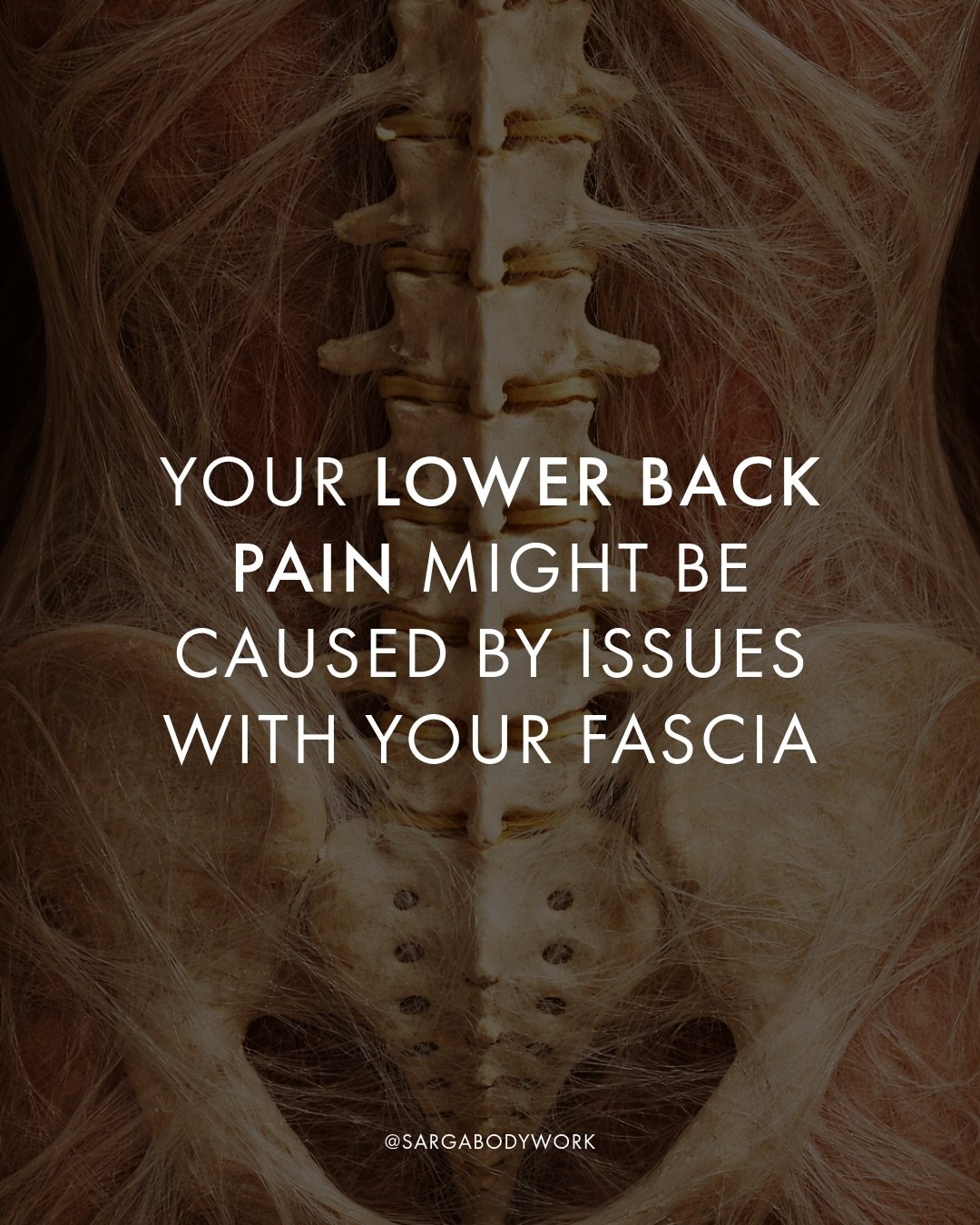 If you&rsquo;ve ever experienced lower back pain, you&rsquo;ll know how some days your back hurts and it&rsquo;s manageable, and other days that same pain feels unbearable.

There is a reason for that. ✅

Fascia is the connective tissue that wraps ar