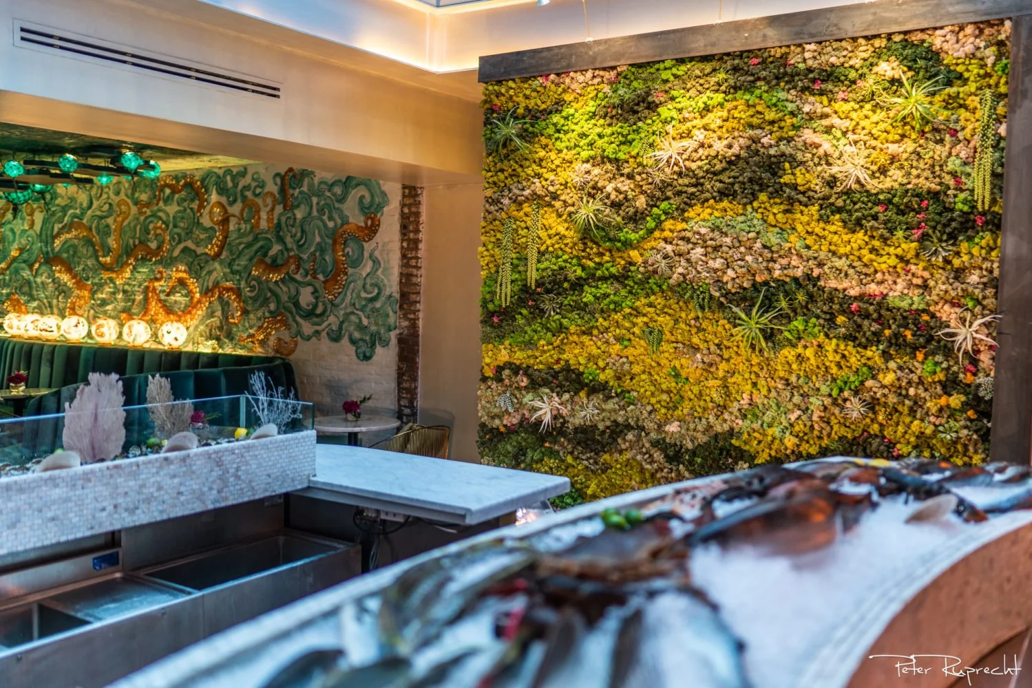 20Dara-Young-Lamia-Fish-Market-9-1499x1000.jpg
