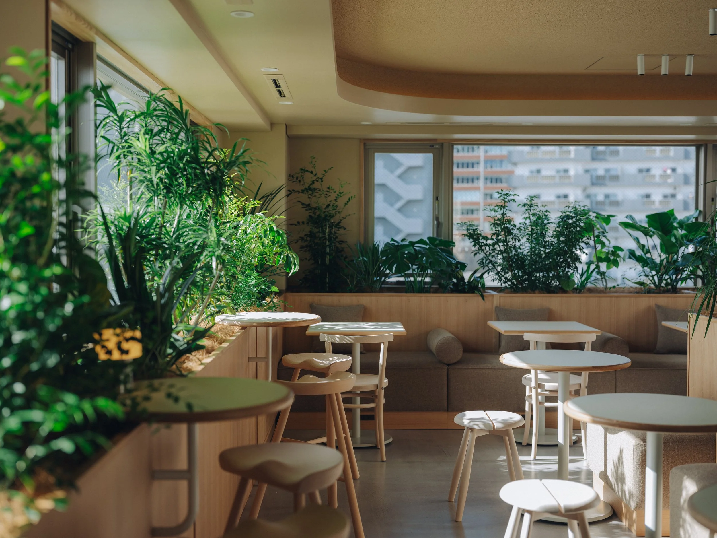 Modern dining room with wooden furniture, green plants, wall-mounted lights, and a long hanging light fixture.